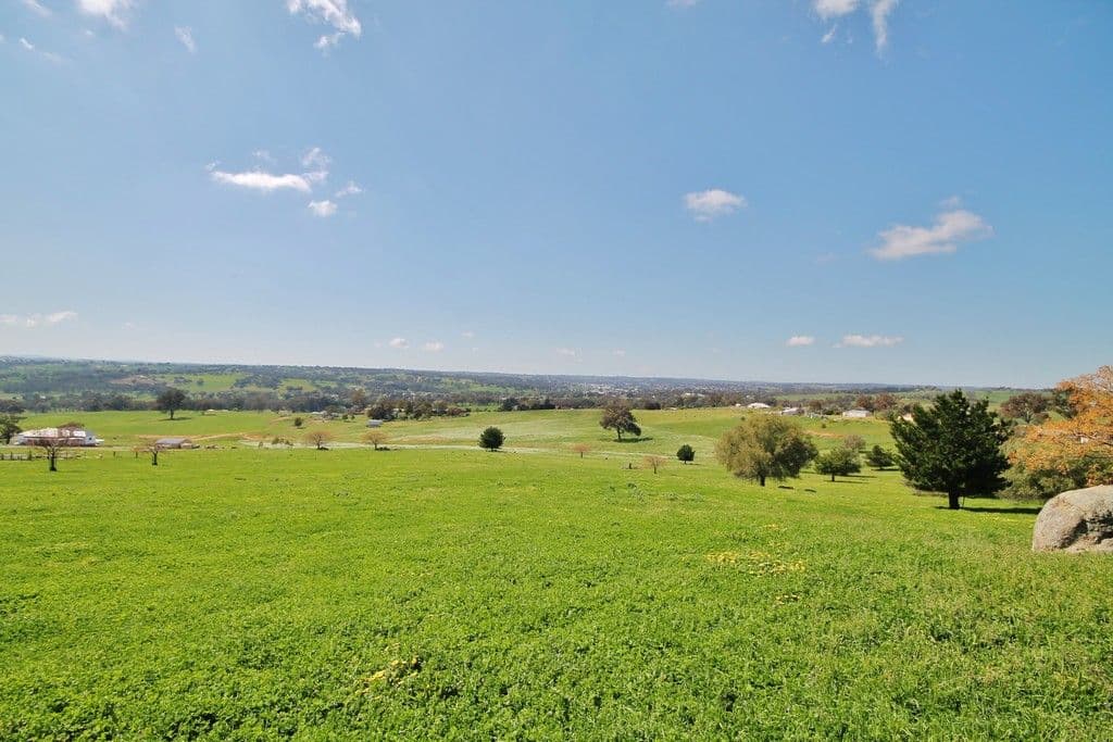 130 Belmore Road, Young NSW 2594, Young - Thumbnail 6