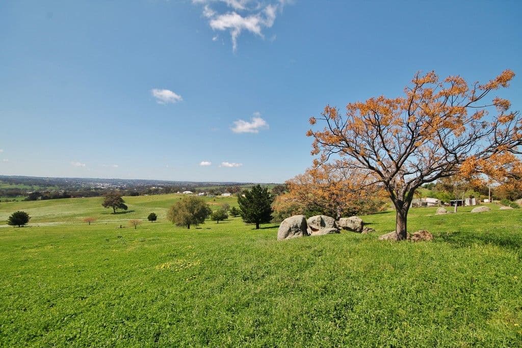 130 Belmore Road, Young NSW 2594, Young - Thumbnail 7
