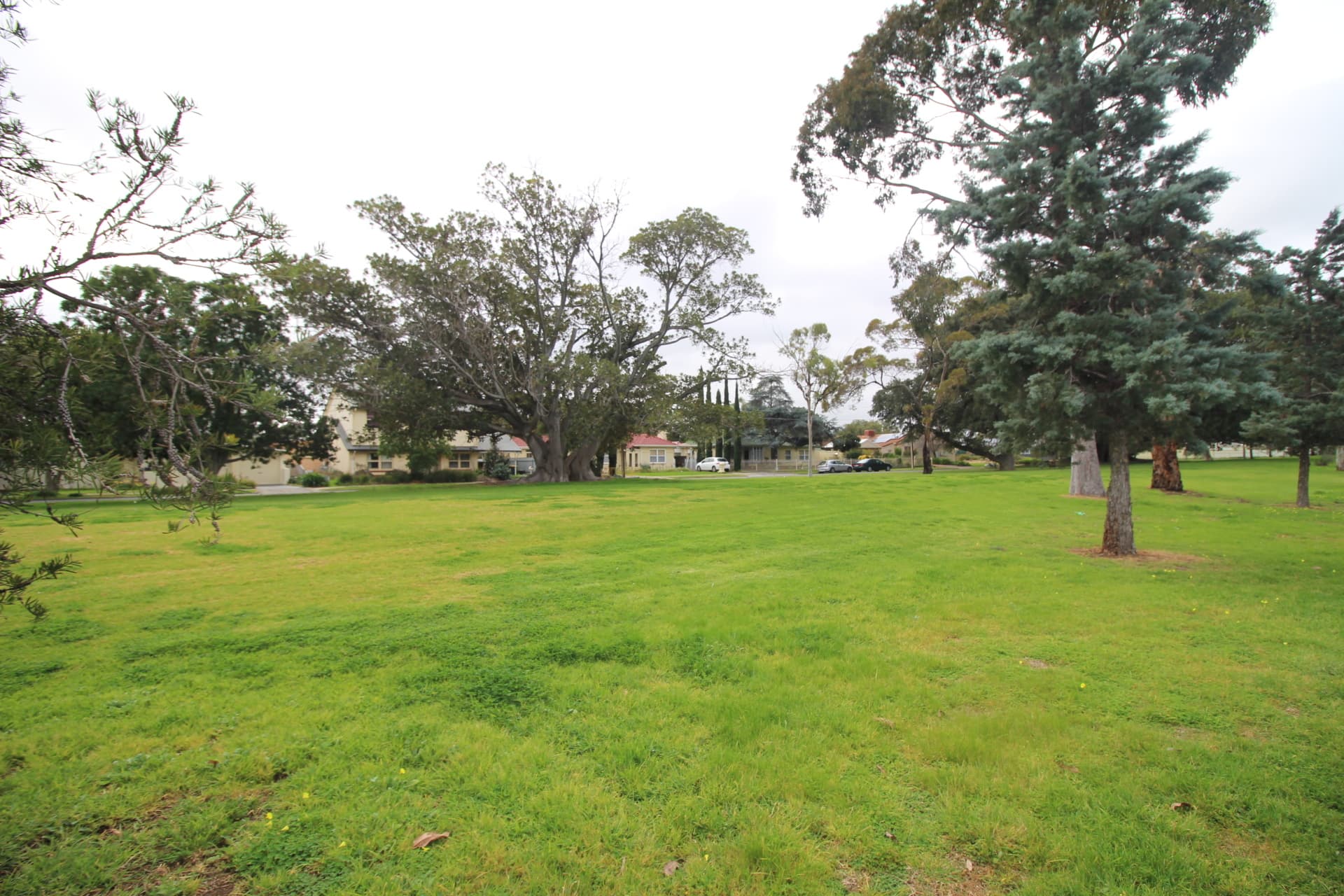 2/6 Ronald Terrace, Glenelg North - Thumbnail 7