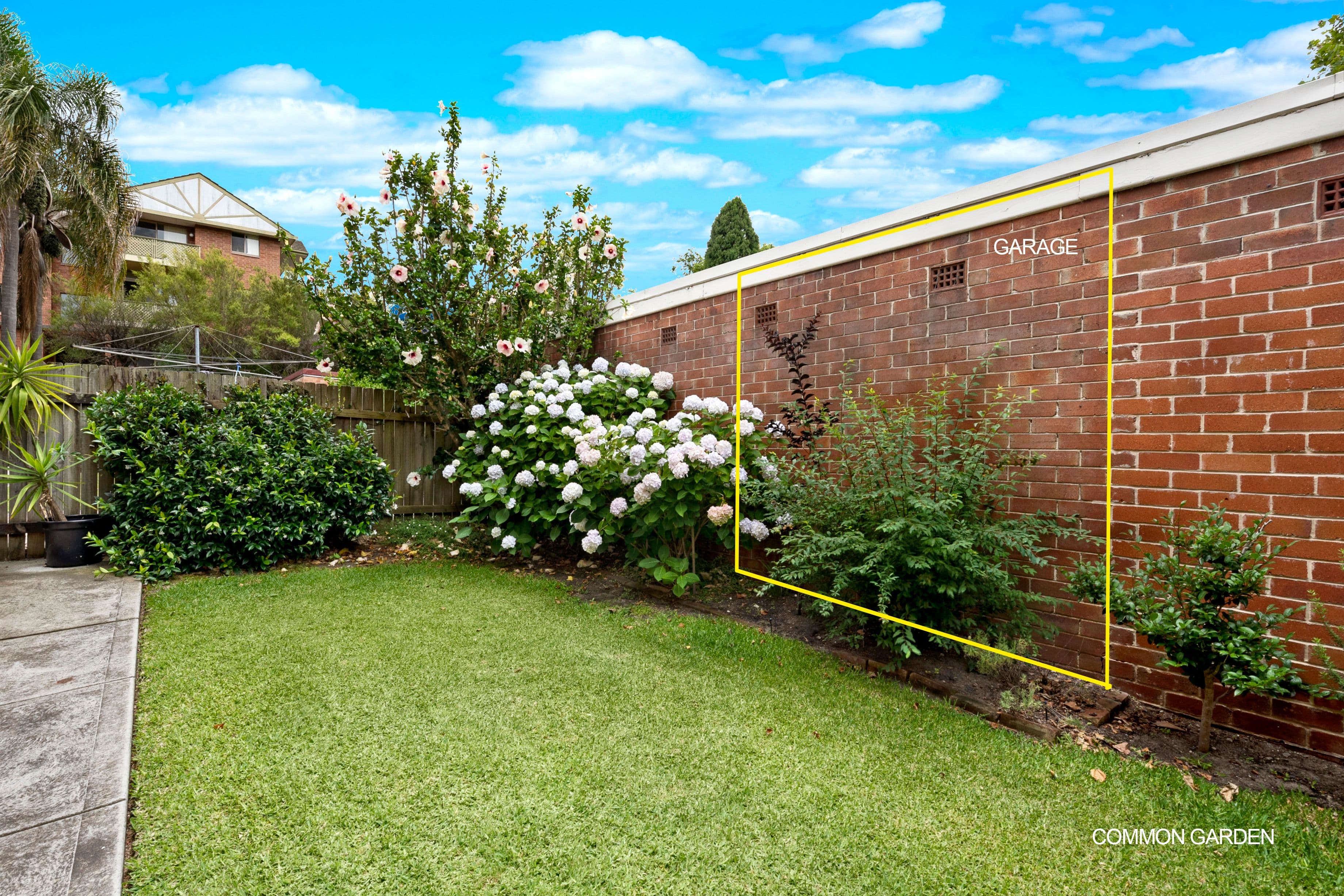 133 Willoughby Road, Naremburn NSW 2065, Naremburn - Thumbnail 6