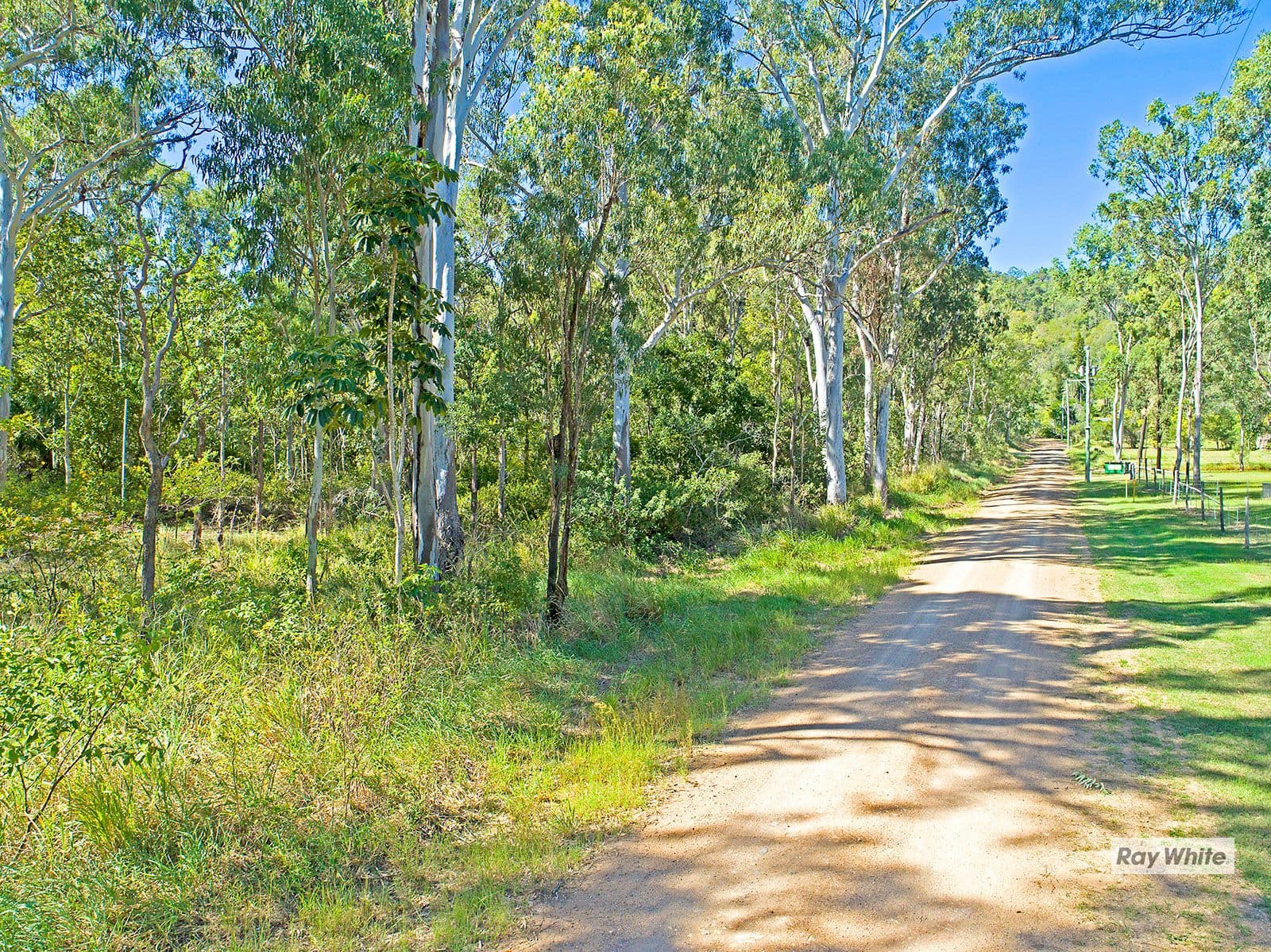 8 Jennings Road, Cawarral QLD 4702, Cawarral - Thumbnail 5