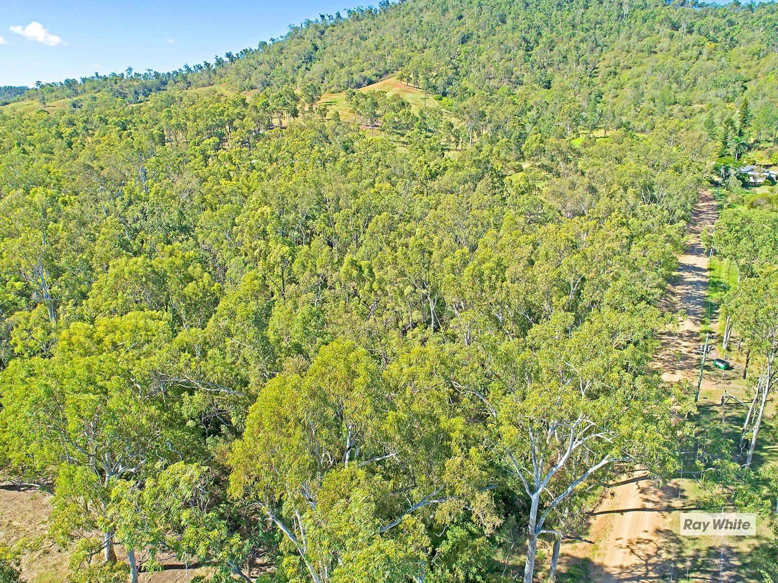 8 Jennings Road, Cawarral QLD 4702, Cawarral - Thumbnail 7