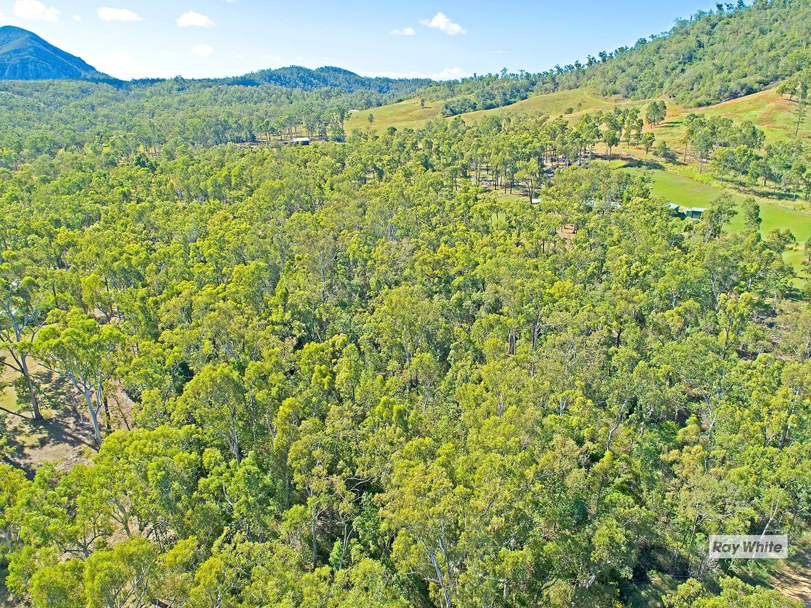 8 Jennings Road, Cawarral QLD 4702, Cawarral - Thumbnail 8