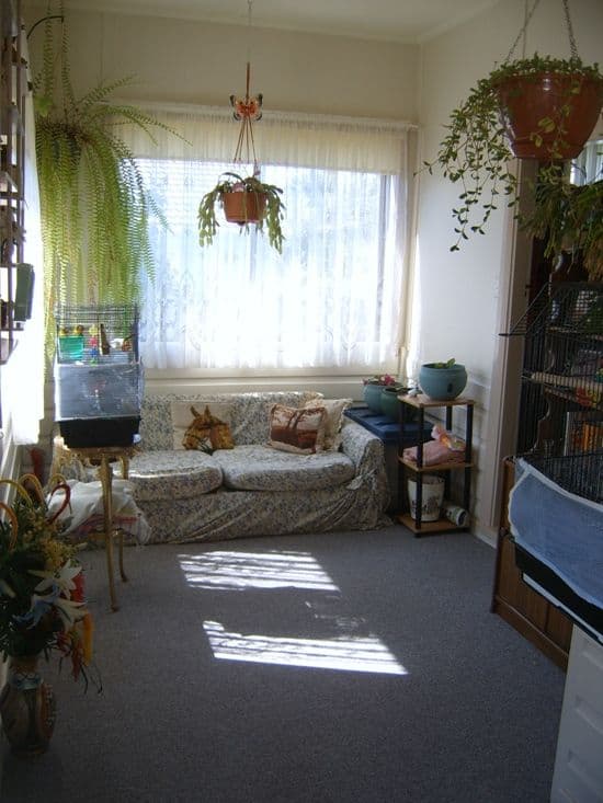 18  Austinmer Street, AUSTINMER NSW 2515, Austinmer - Thumbnail 4