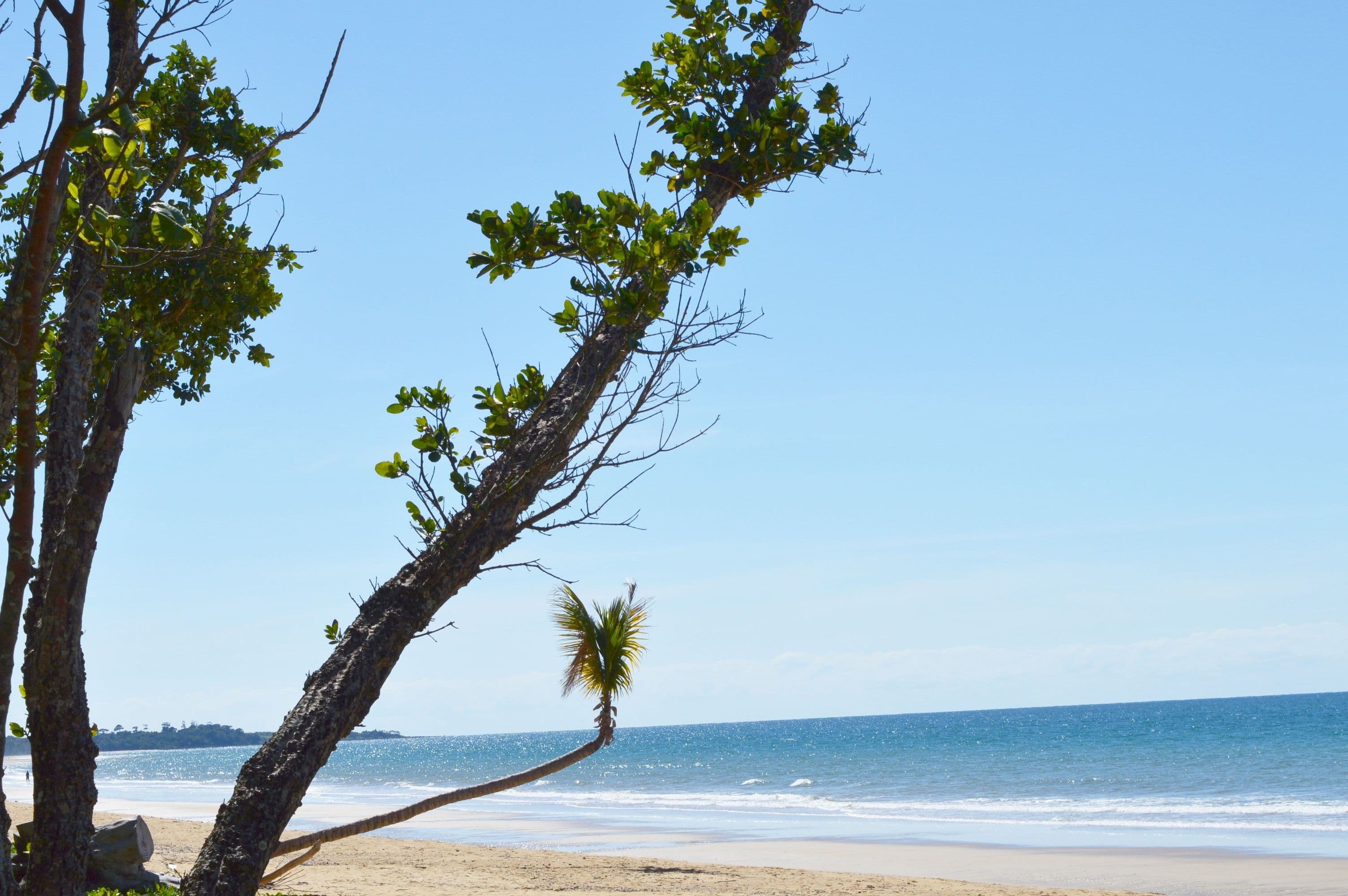 15 Koda Street, Wongaling Beach QLD 4852, Wongaling Beach - Thumbnail 5