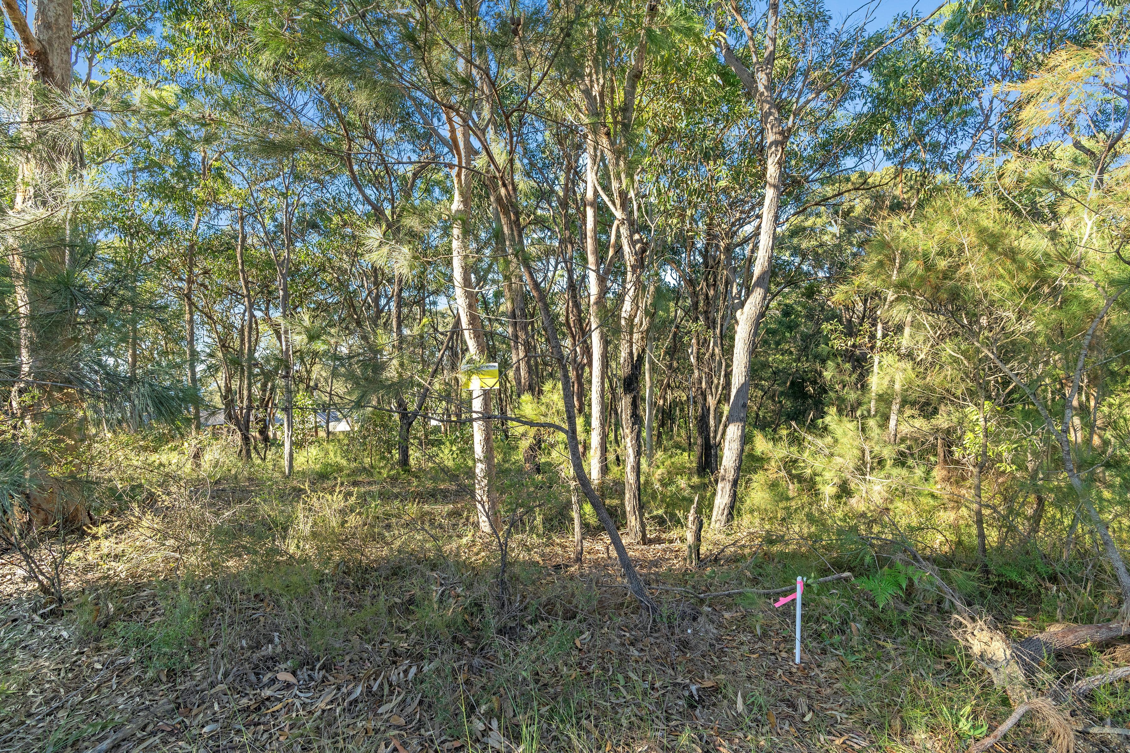 128 Buttaba Hills Road, Buttaba NSW 2283, Buttaba - Thumbnail 4