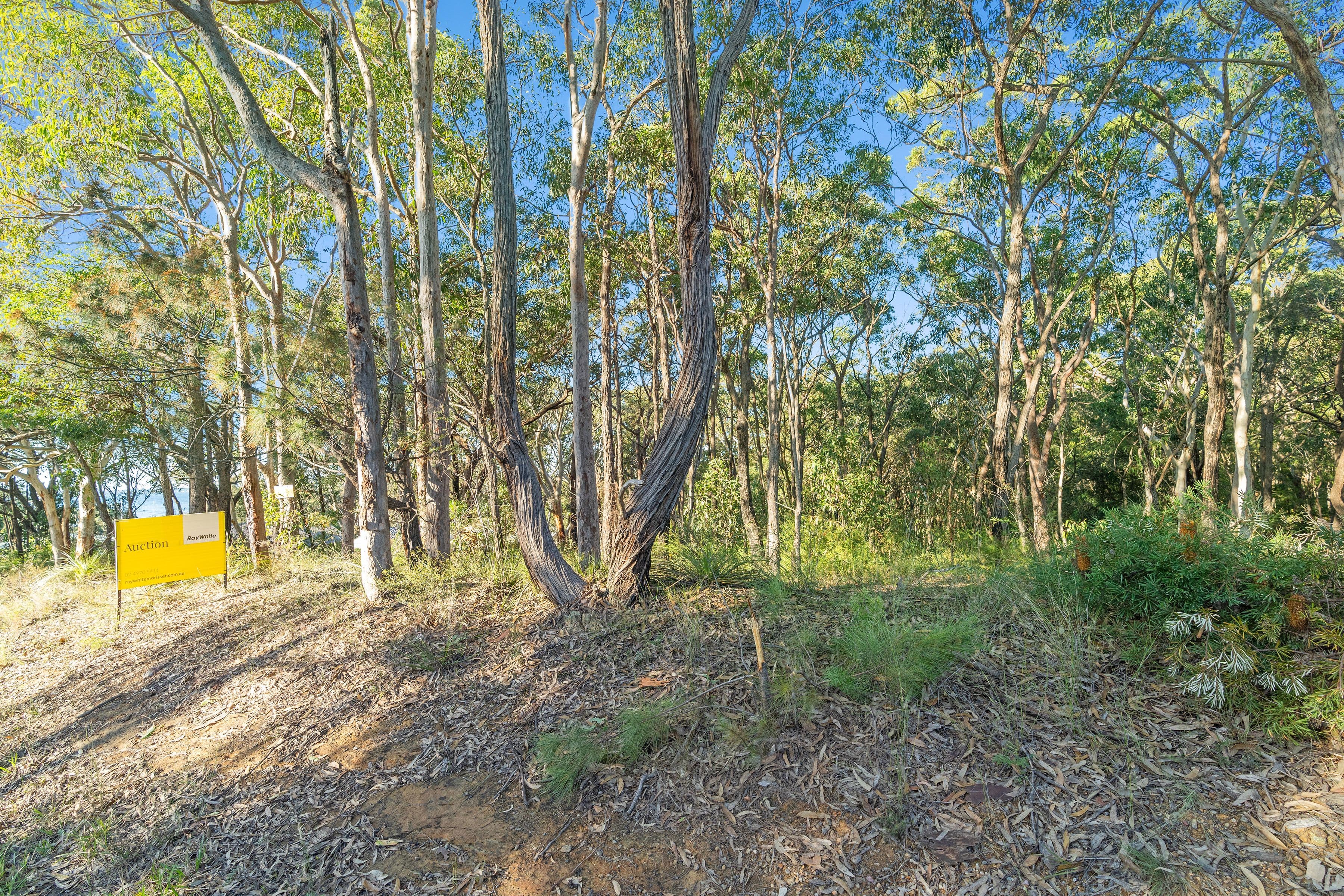 128 Buttaba Hills Road, Buttaba NSW 2283, Buttaba - Thumbnail 5