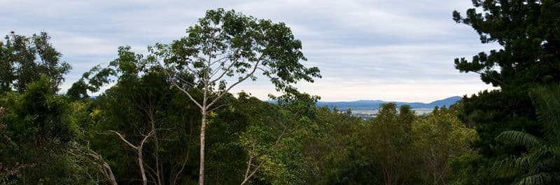 3  Johnston Place, BUDERIM QLD 4556, Buderim - Thumbnail 2