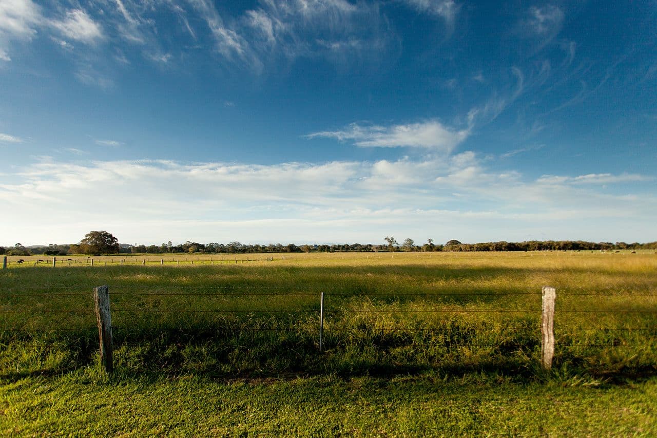330 Glenthorne Road, Taree NSW 2430, Taree - Thumbnail 5