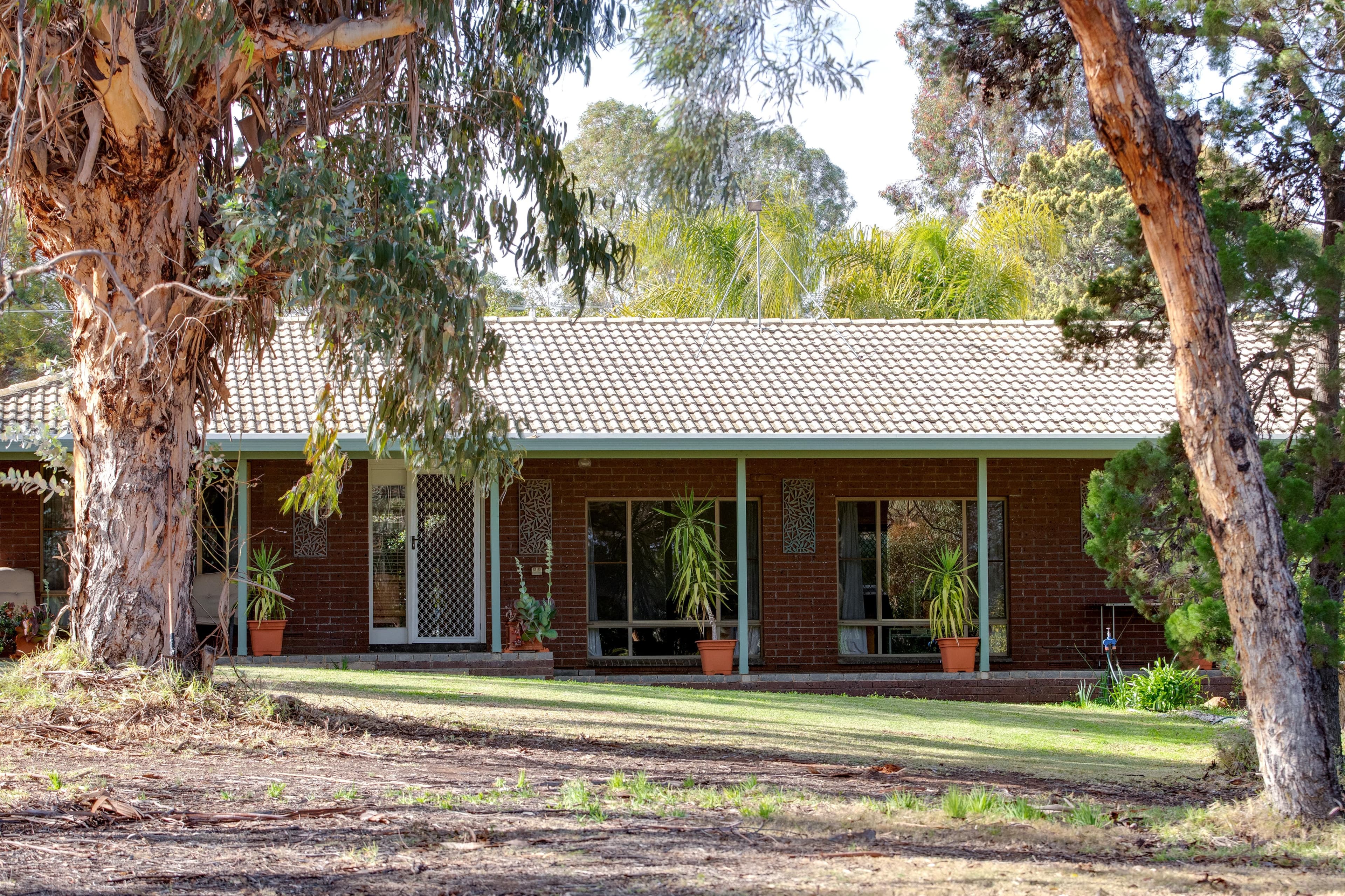 23 Fairway Avenue, Barmera SA 5345, Barmera - Image 1