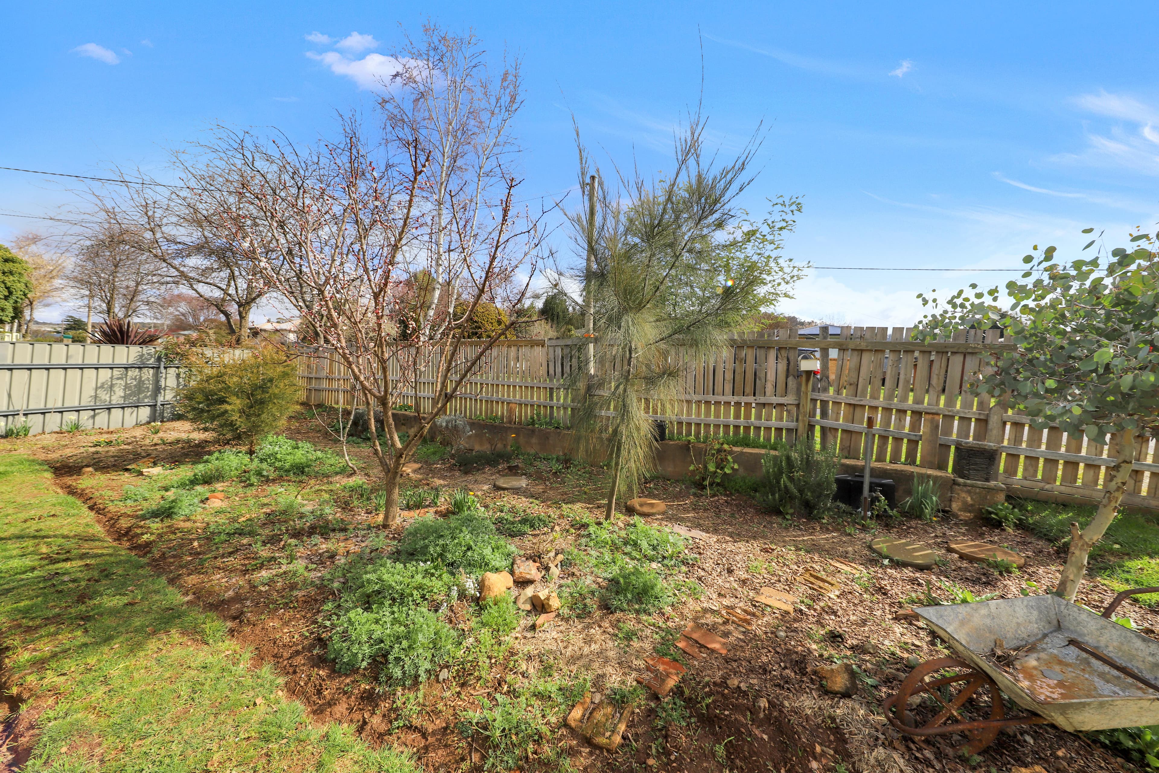 5 Coorabel Avenue, Batlow NSW 2730, Batlow - Thumbnail 3