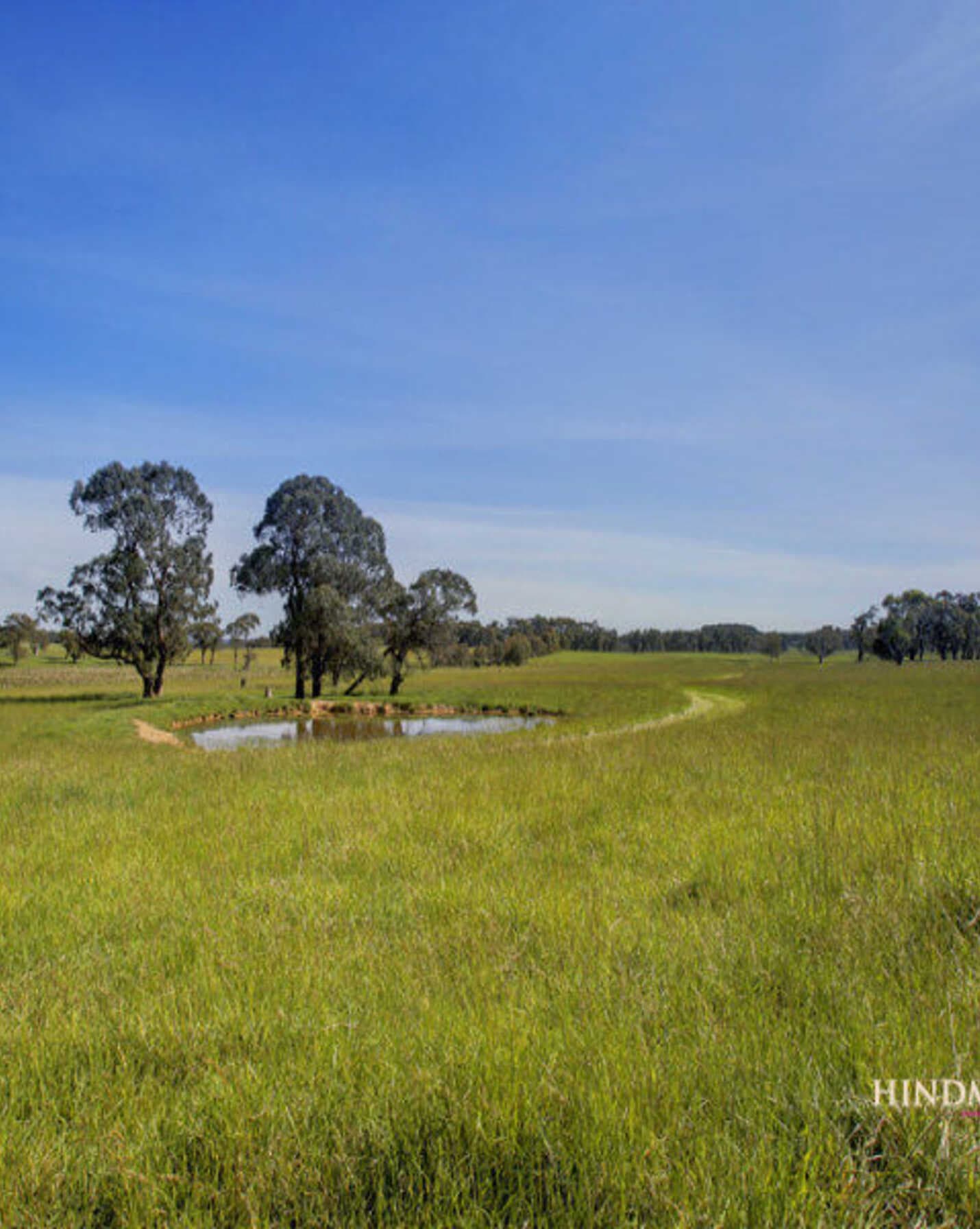 Lot 318 Illawarra Highway Moss Vale, Vale - Thumbnail 4