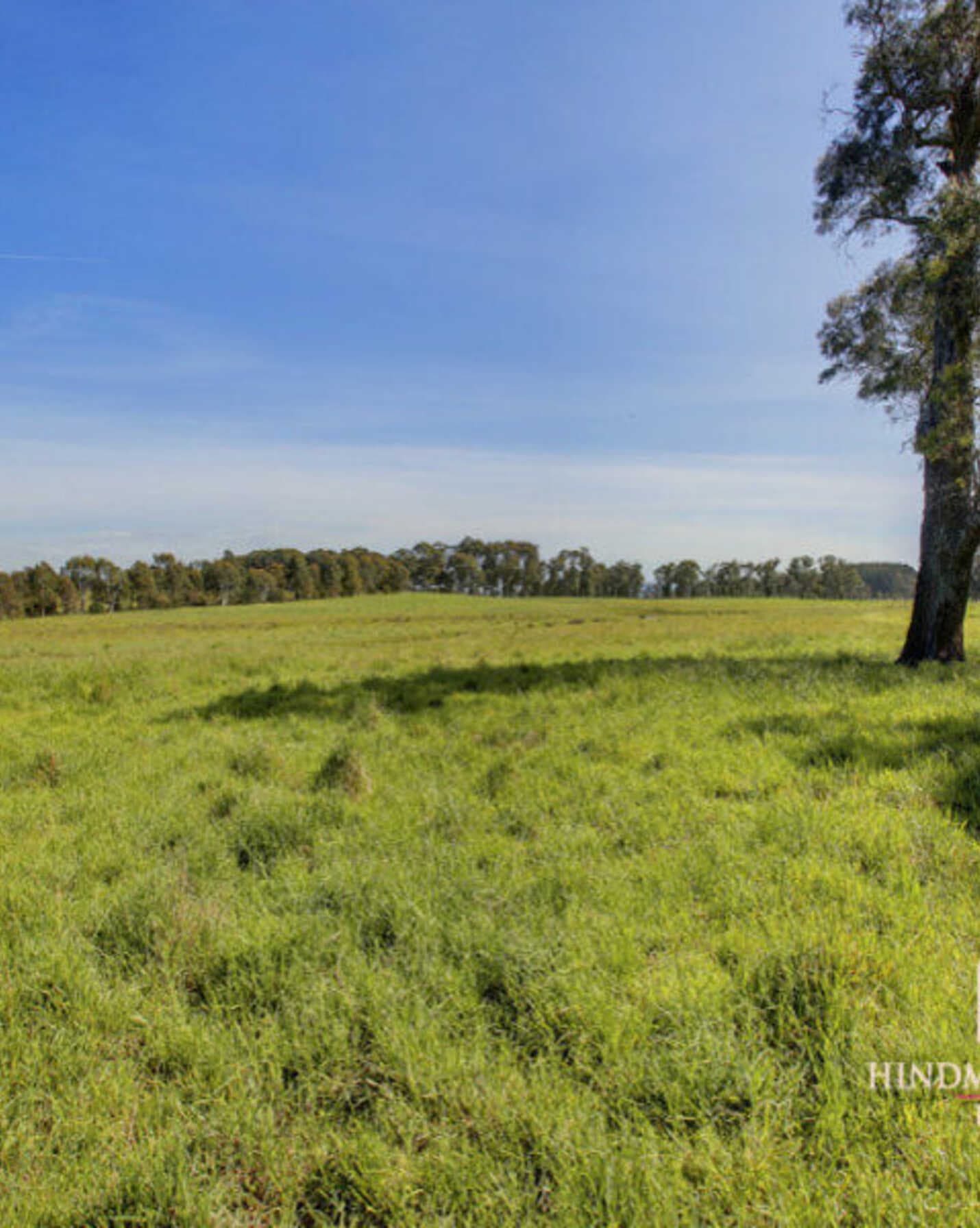Lot 318 Illawarra Highway Moss Vale, Vale - Thumbnail 5