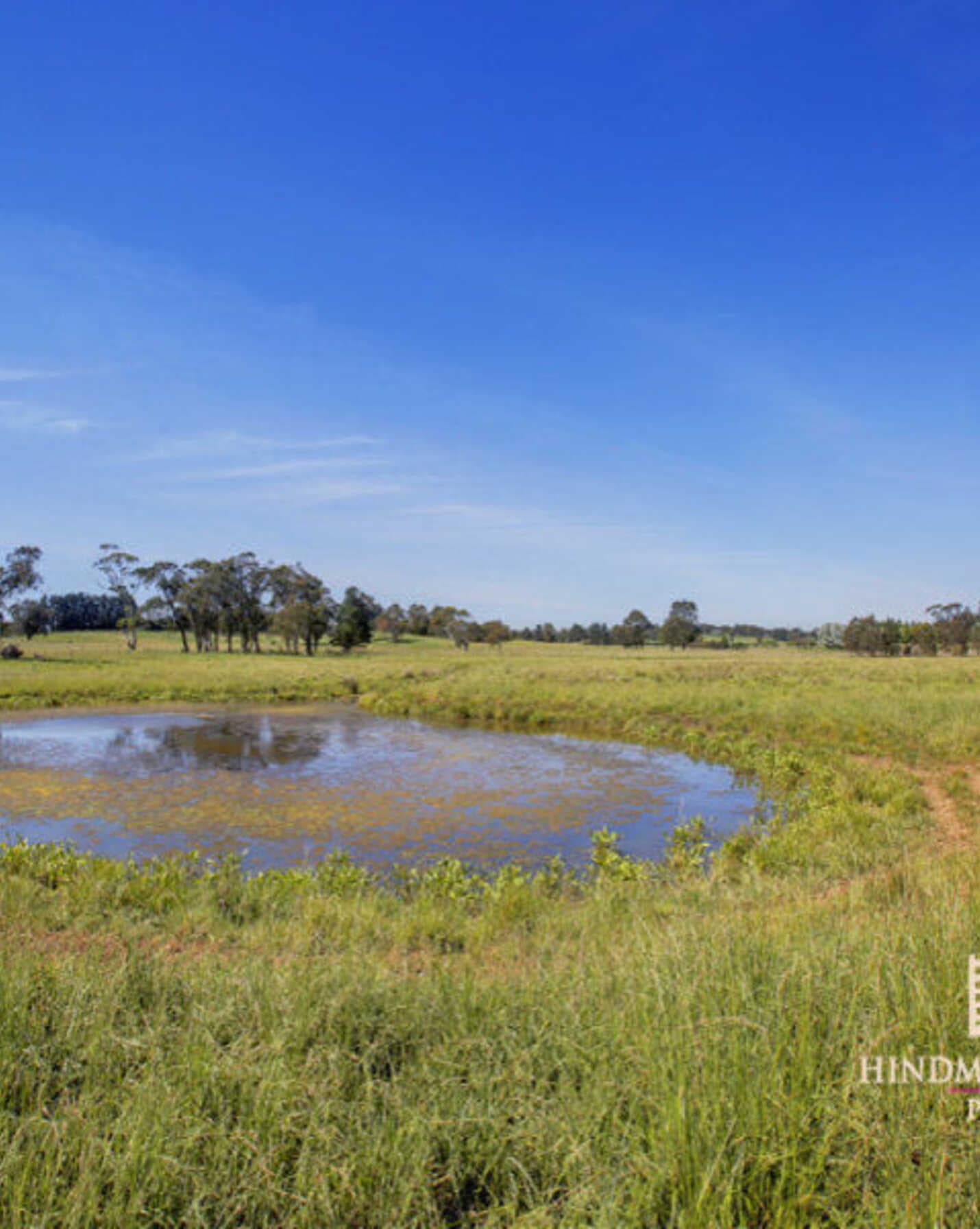 Lot 318 Illawarra Highway Moss Vale, Vale - Thumbnail 6