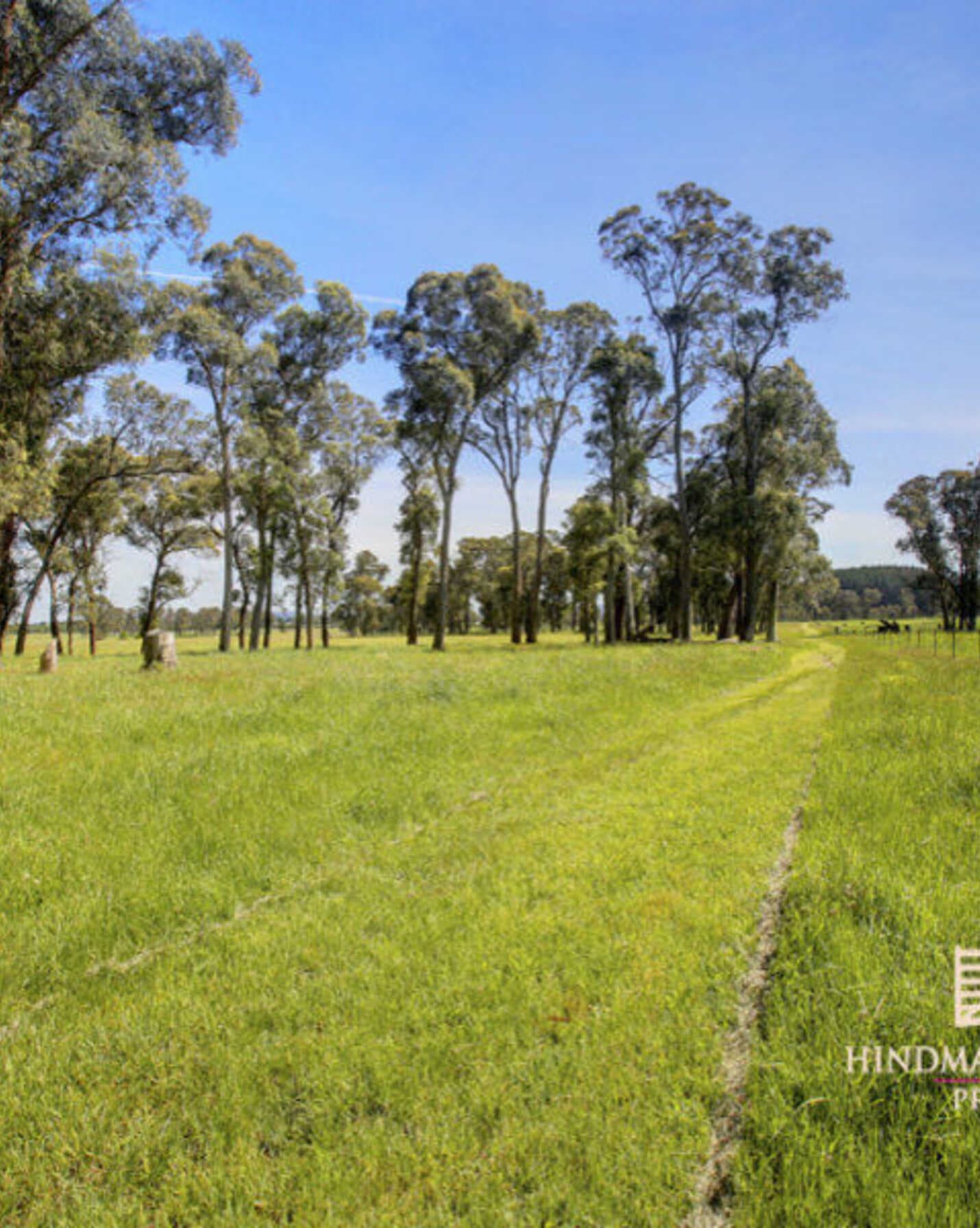 Lot 318 Illawarra Highway Moss Vale, Vale - Thumbnail 7