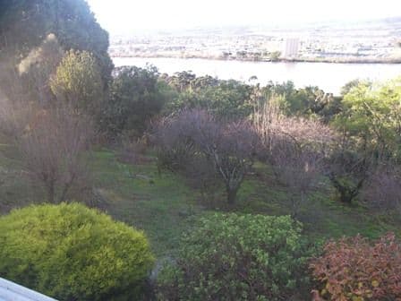 36 Trevallyn Road, TREVALLYN TAS 7250, Trevallyn - Thumbnail 4