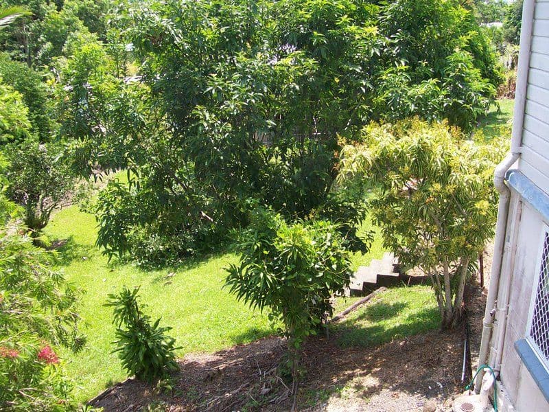 9 Fitzgerald Street, East Innisfail QLD 4860, East Innisfail - Thumbnail 7