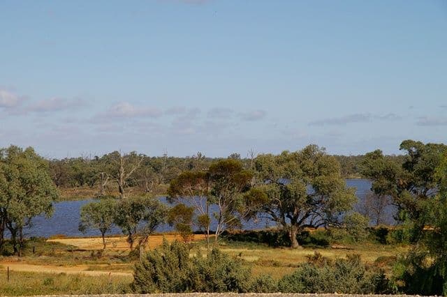 73 Hughes Avenue, PARINGA SA 5340, Paringa - Thumbnail 2