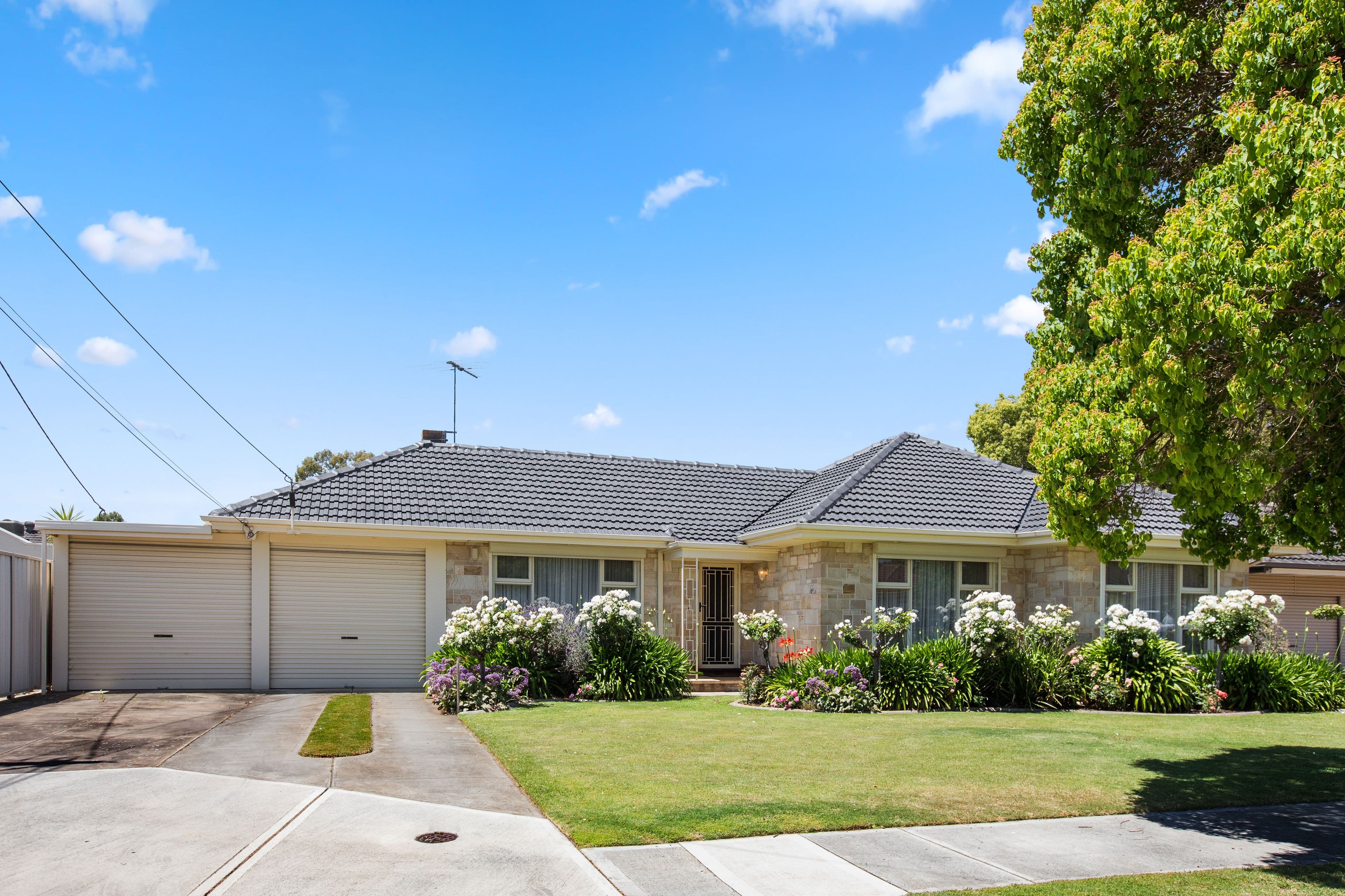 17 Parana Street, Flinders Park SA 5025, Flinders Park - Image 1