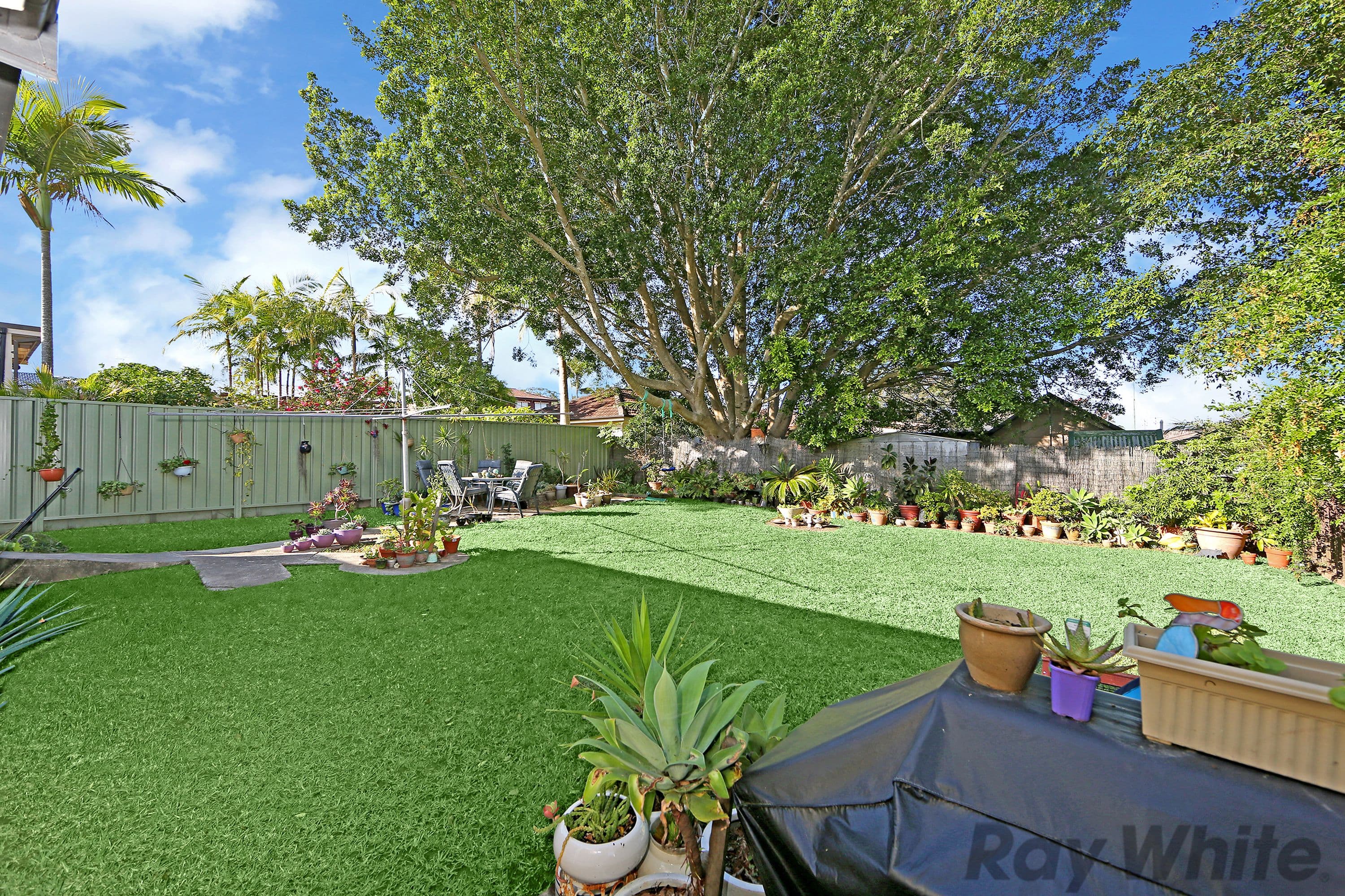 3 Laelana Avenue, Budgewoi - Thumbnail 3