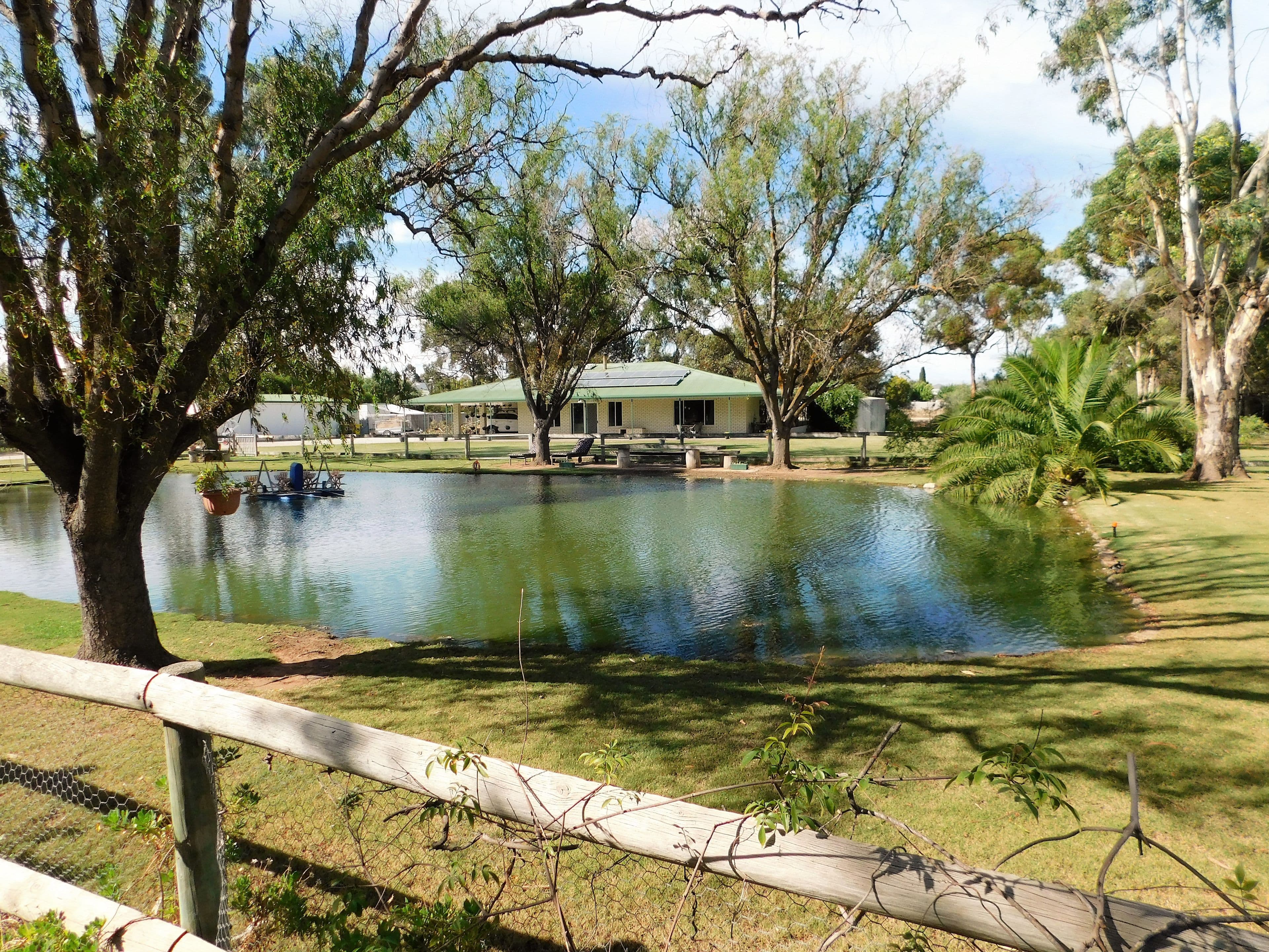 20 Green Street, Bordertown SA 5268, Bordertown - Image 1