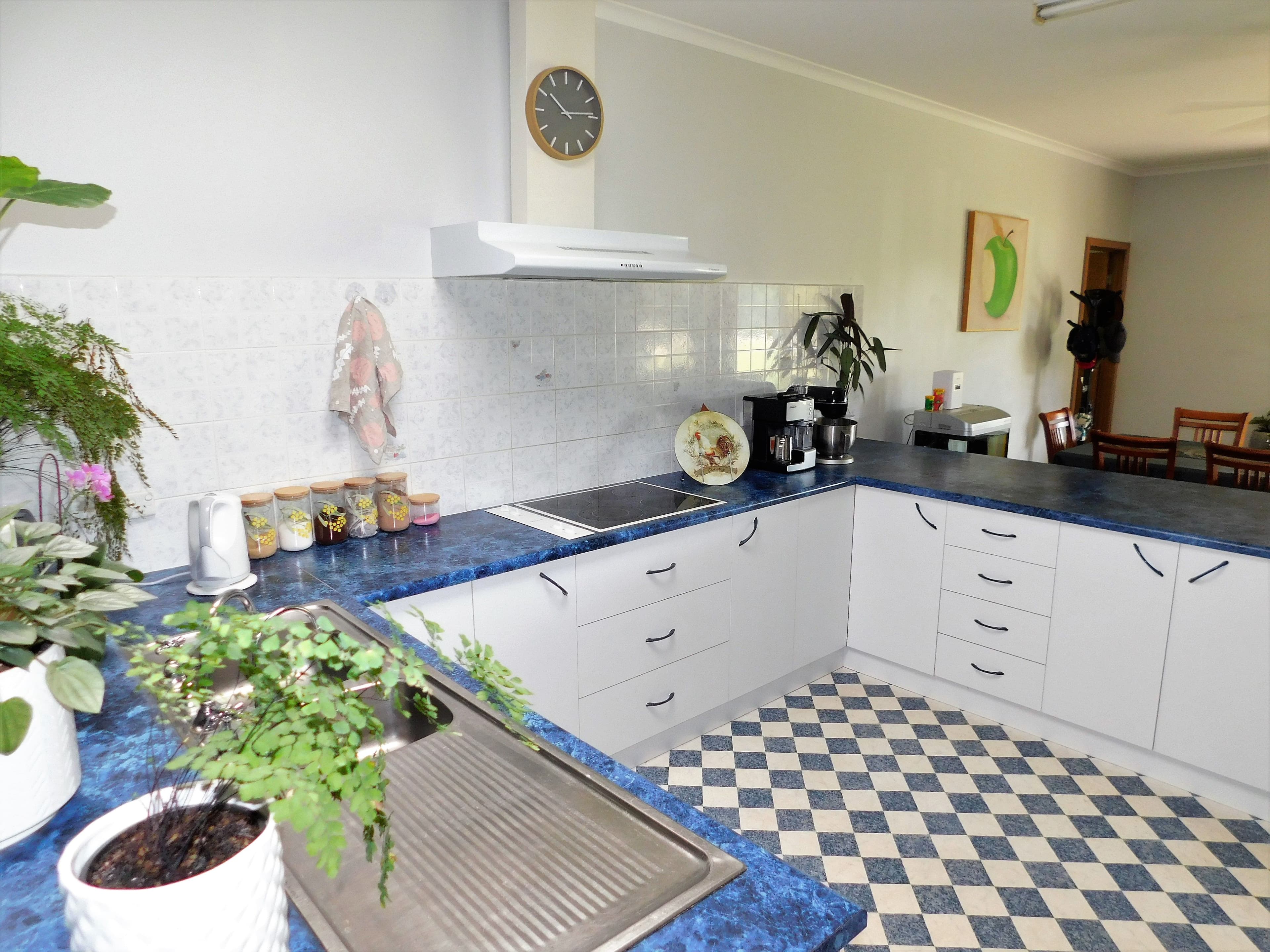20 Green Street, Bordertown SA 5268, Bordertown - Thumbnail 3