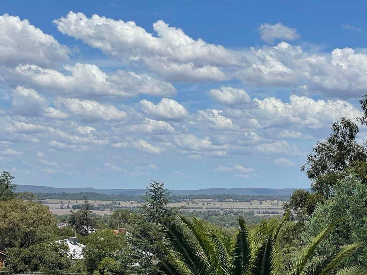 Parkes NSW 2870, Parkes - Thumbnail 2
