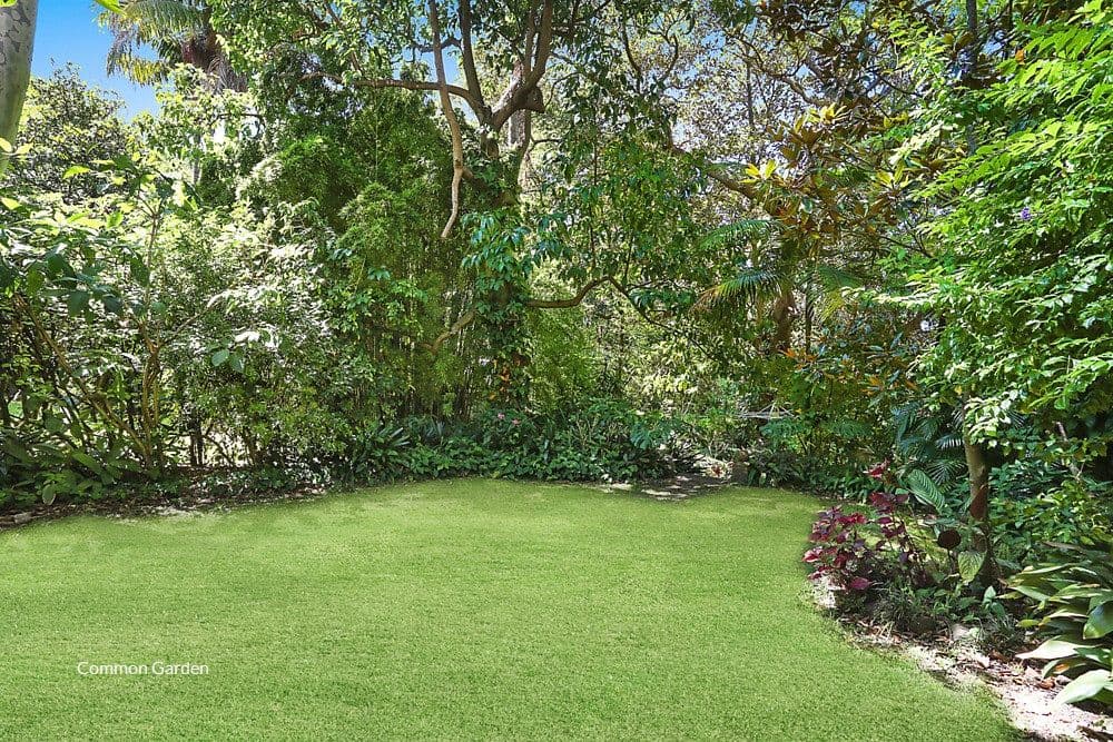 291 Edgecliff Road, Woollahra NSW 2025, Woollahra - Thumbnail 6