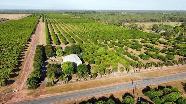 180 Alphatonia Road, Lambells Lagoon NT, Lambells Lagoon - Image 1