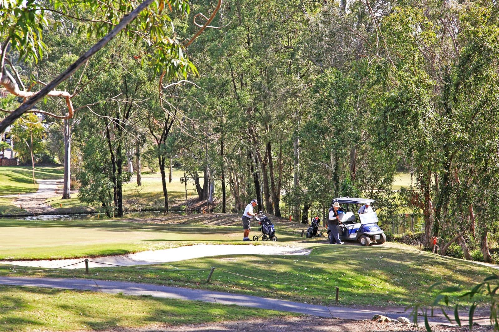 4 Greg Norman Crescent, Parkwood QLD 4214, Parkwood - Thumbnail 5
