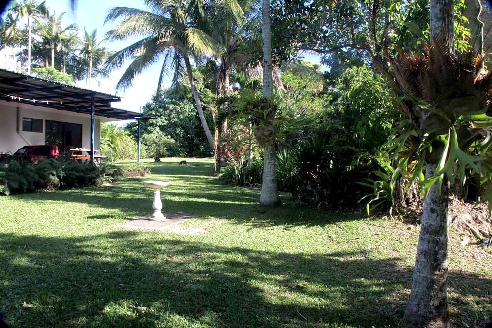 19 Pioneer Street, Bingil Bay QLD 4852, Bingil Bay - Thumbnail 5