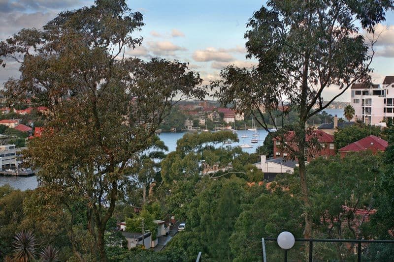 50  Whaling Road, NORTH SYDNEY NSW 2060, North Sydney - Thumbnail 8
