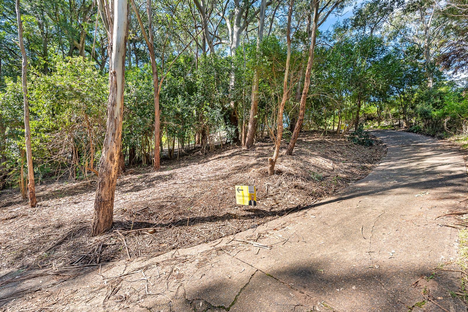 320 Old Northern Road, Castle Hill NSW 2154, Castle Hill - Thumbnail 2