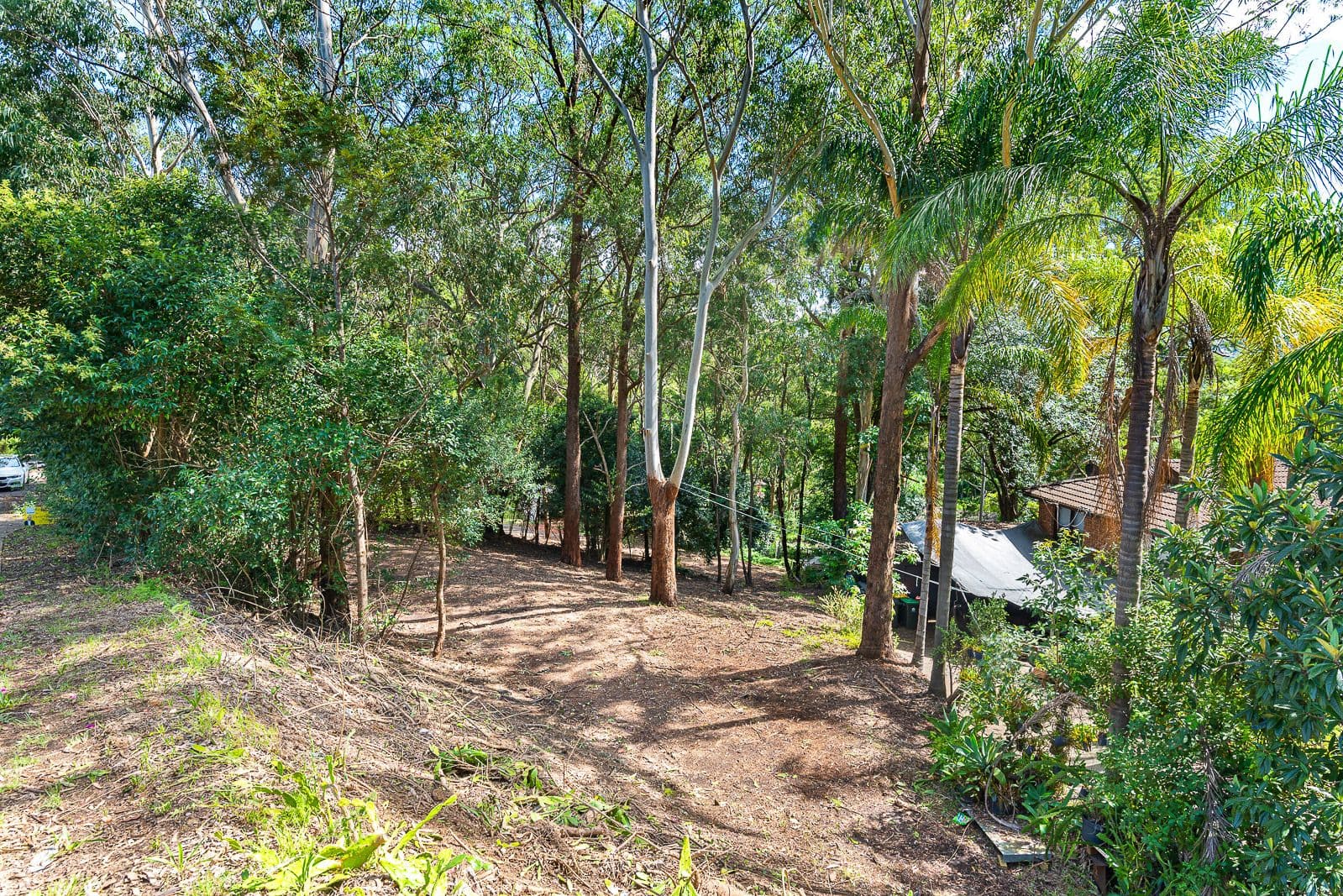 320 Old Northern Road, Castle Hill NSW 2154, Castle Hill - Thumbnail 4