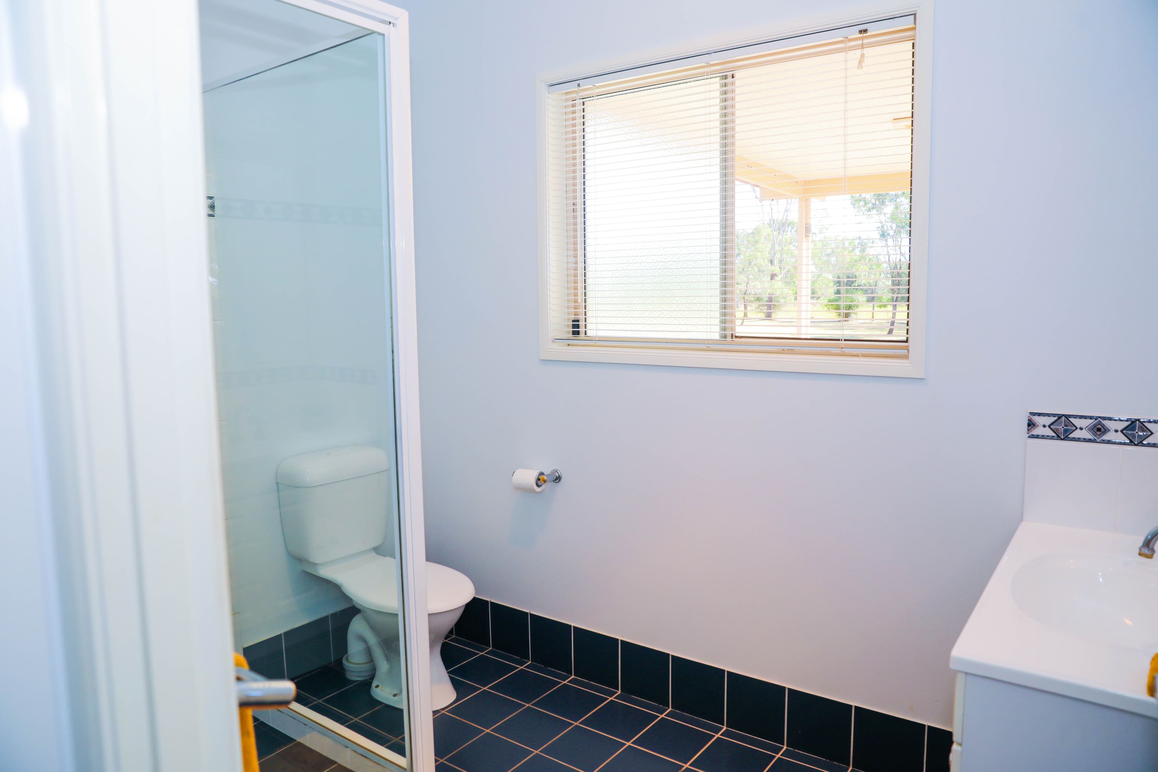 17 Thoroughbred Parade, Colkerri Estate, Dalby QLD 4405, Dalby - Thumbnail 8