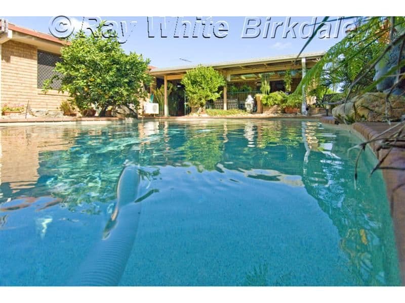 17 Burns Street, CAPALABA QLD 4157, Capalaba - Thumbnail 6