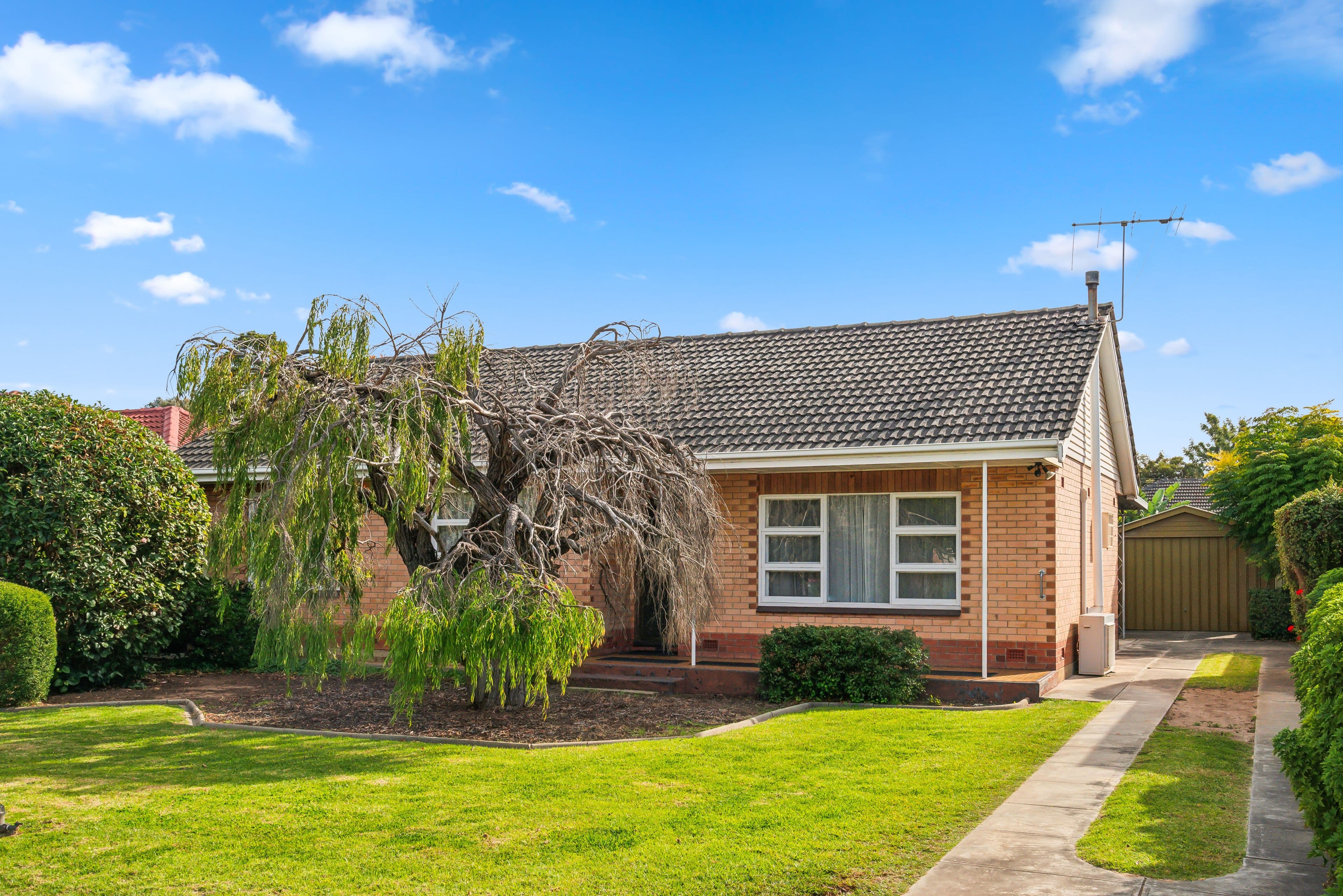 16 Clyde Street, Marion SA 5043, Marion - Image 1