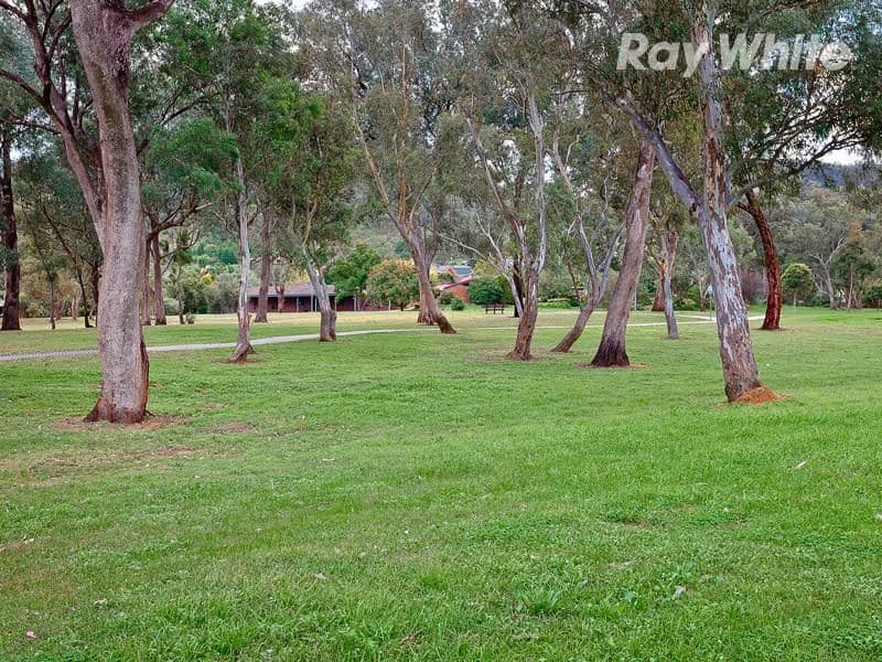 3 Alkira Court, LAVINGTON NSW 2641, Lavington - Thumbnail 7