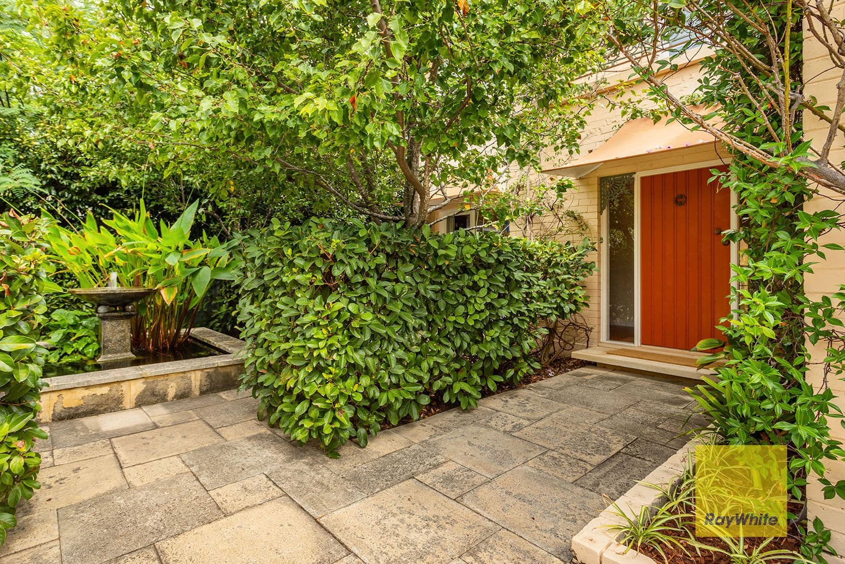 14 Owston Street, Mosman Park WA 6012, Mosman Park - Thumbnail 3
