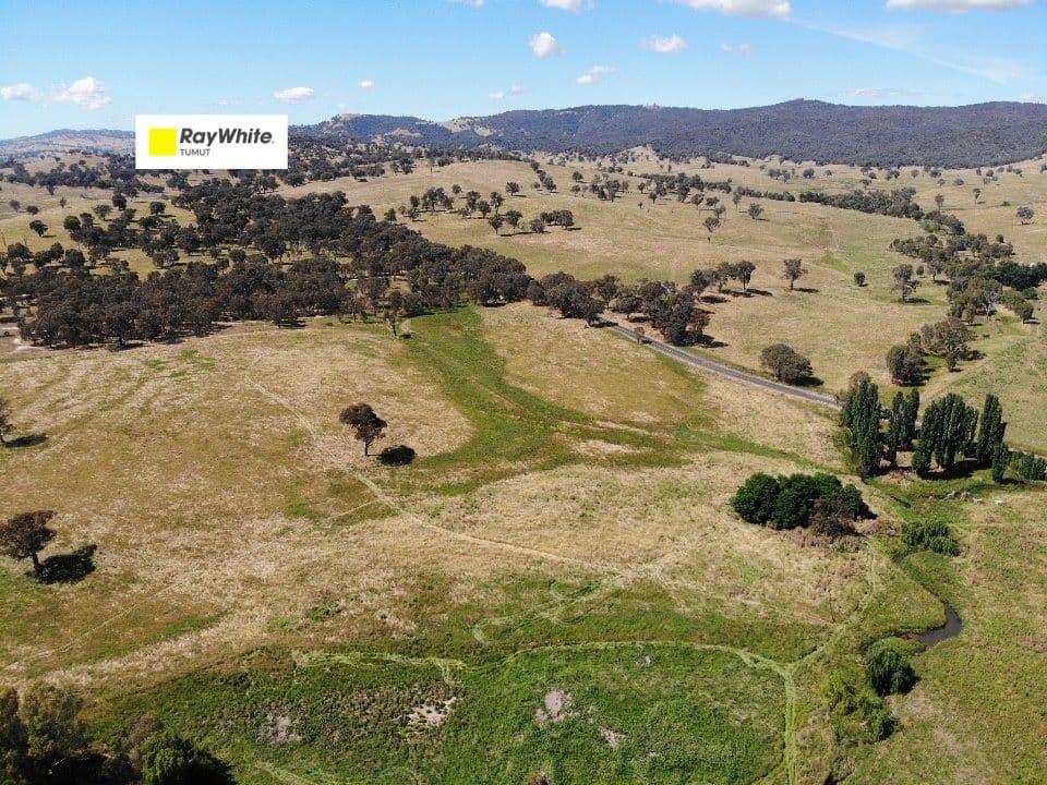 Part 1701 Adelong Road, Adelong NSW 2729, Adelong - Image 1