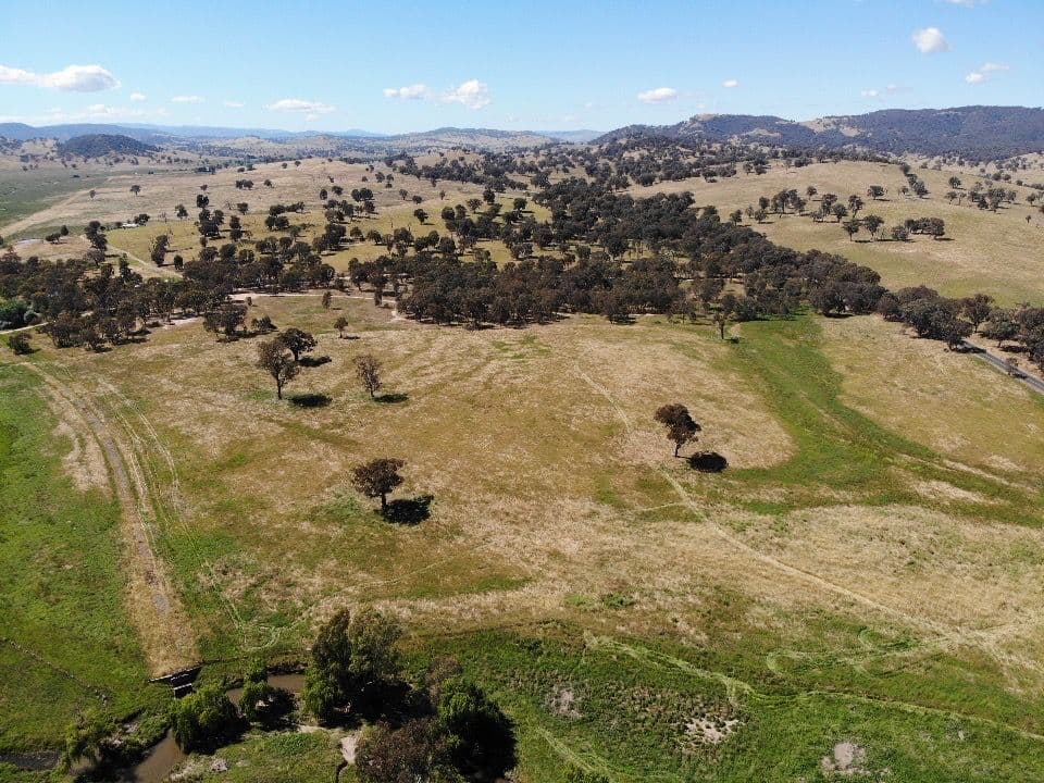 Part 1701 Adelong Road, Adelong NSW 2729, Adelong - Thumbnail 7