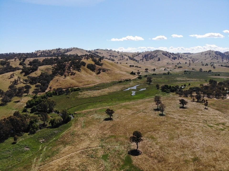 Part 1701 Adelong Road, Adelong NSW 2729, Adelong - Thumbnail 8