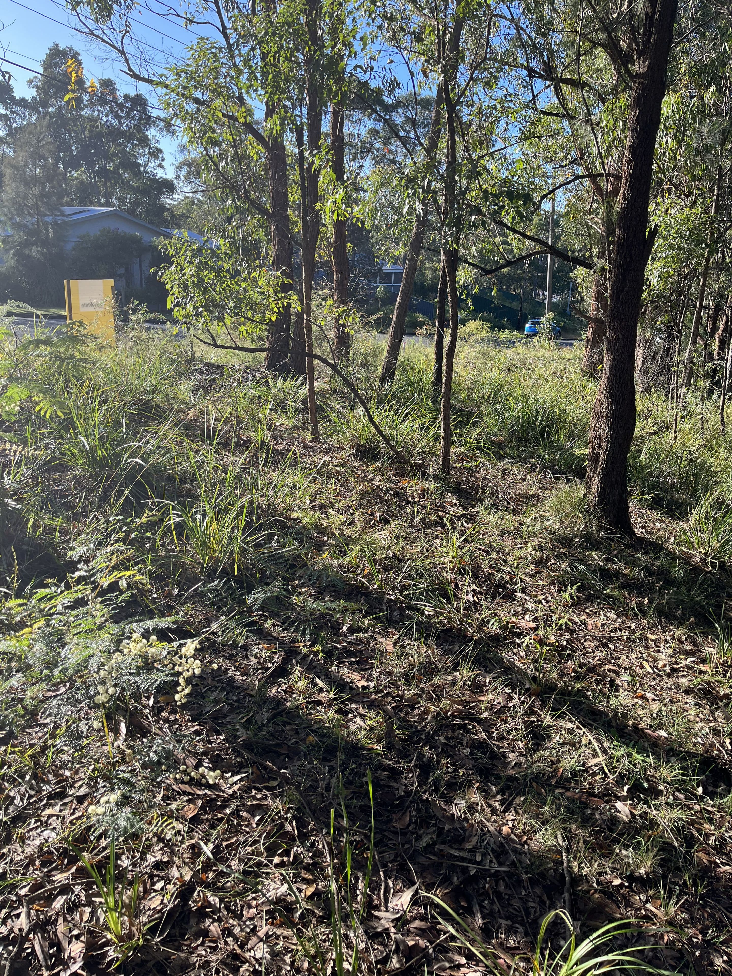 41 Curlew Crescent, Nerong NSW 2423, Nerong - Thumbnail 8