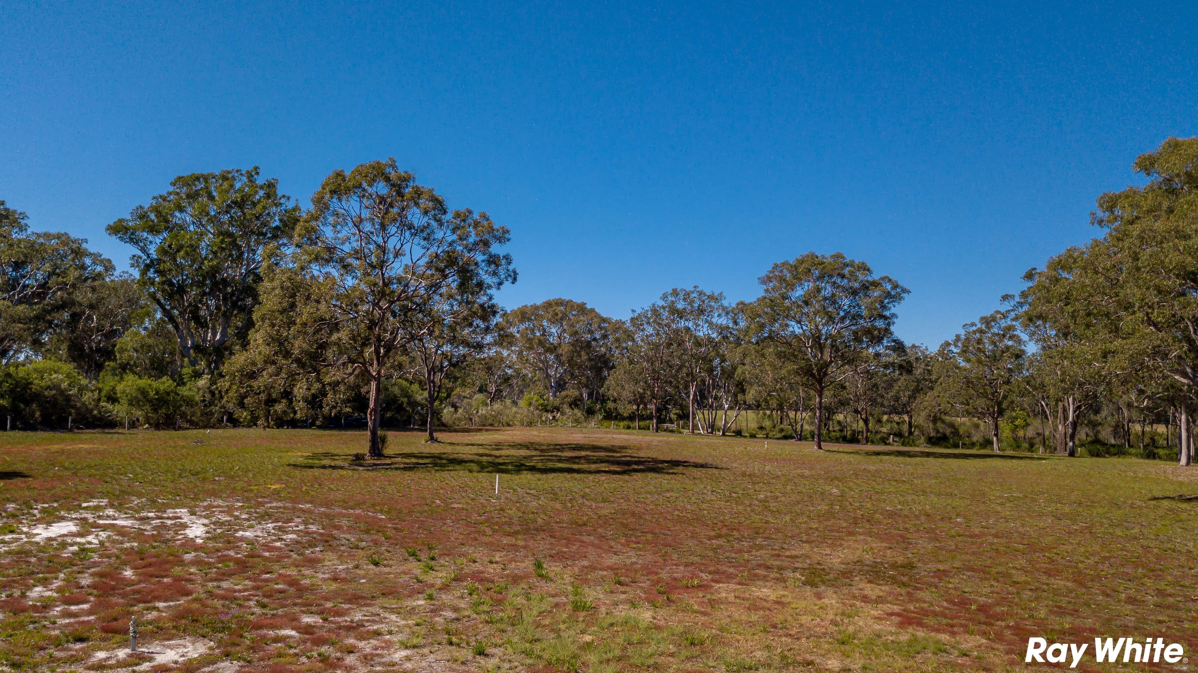 Red Cedar Drive, Failford NSW 2430, Failford - Thumbnail 3