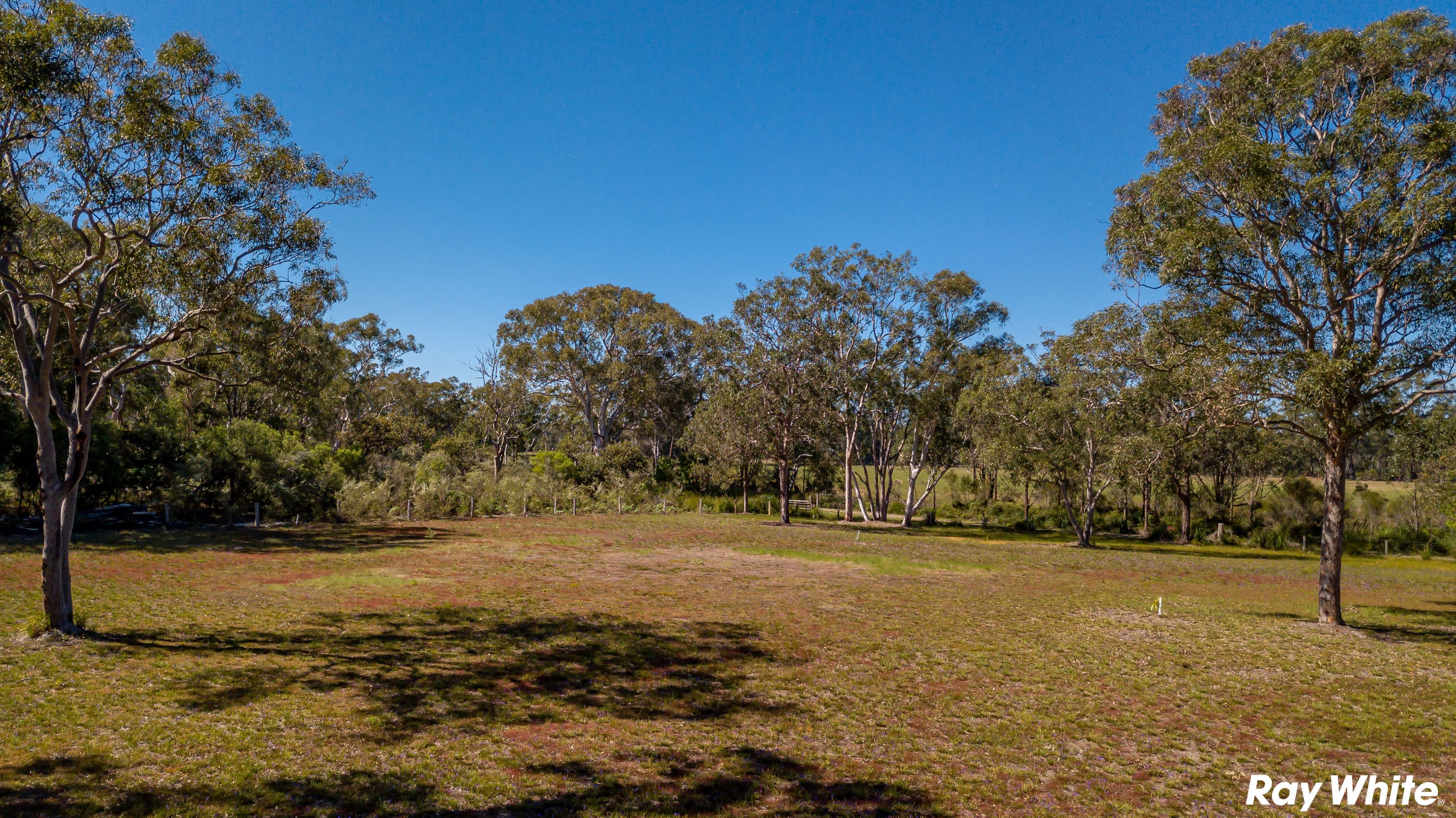 Red Cedar Drive, Failford NSW 2430, Failford - Thumbnail 4