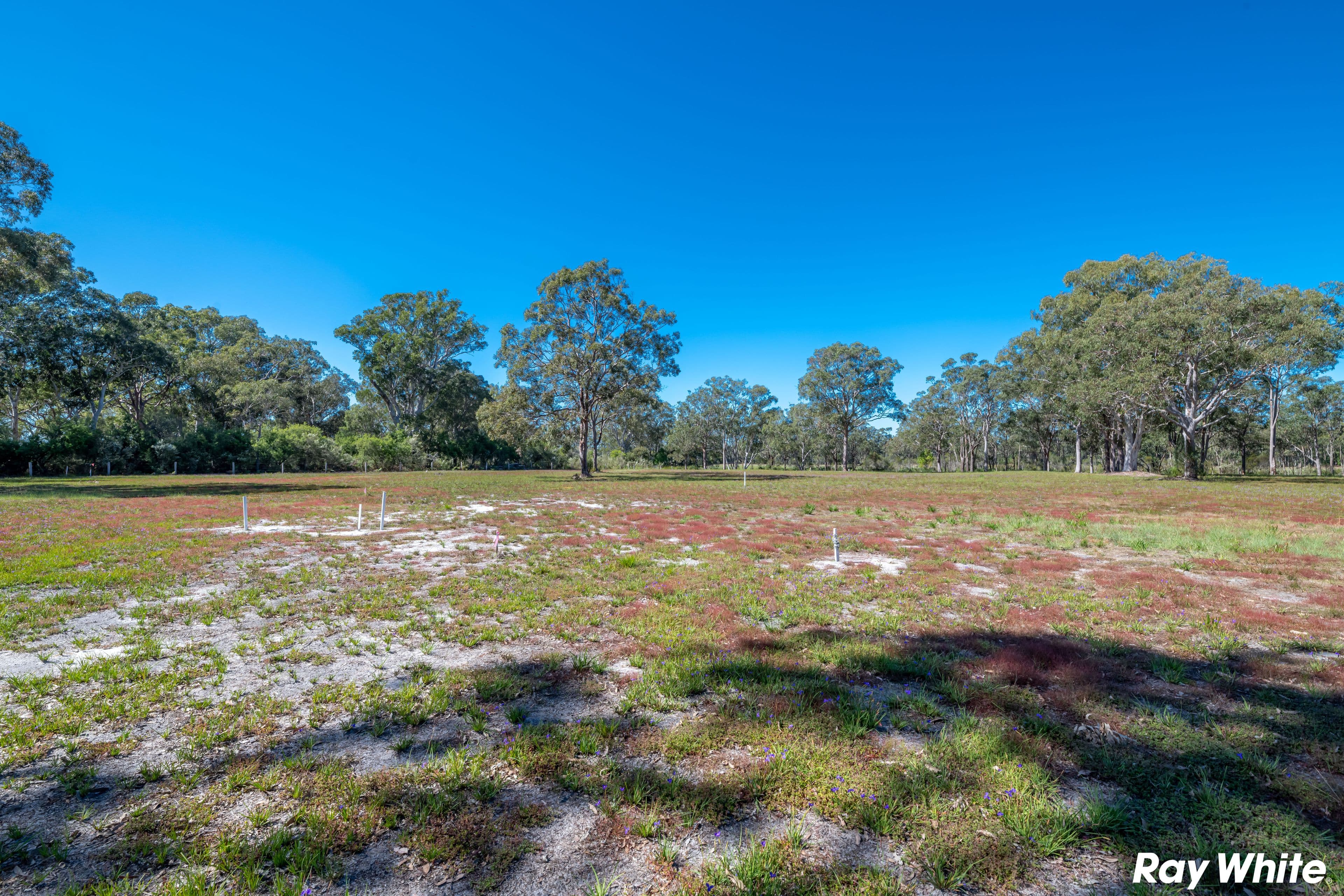 Red Cedar Drive, Failford NSW 2430, Failford - Thumbnail 5