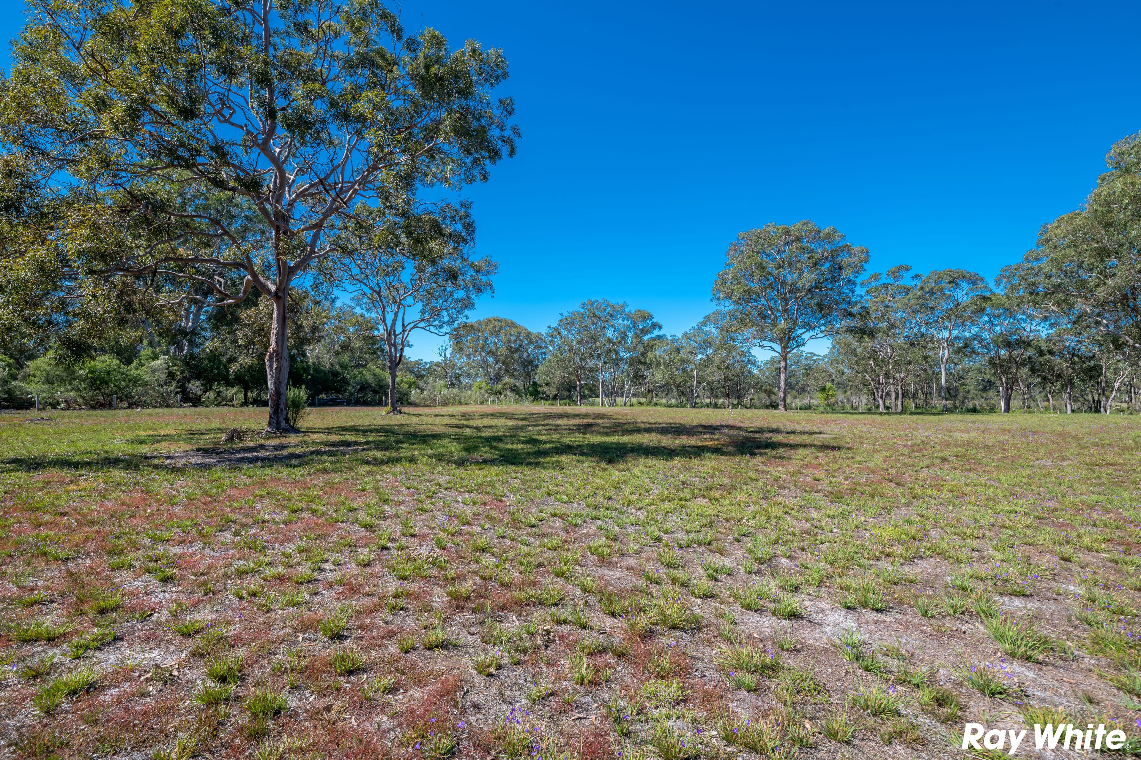 Red Cedar Drive, Failford NSW 2430, Failford - Thumbnail 6