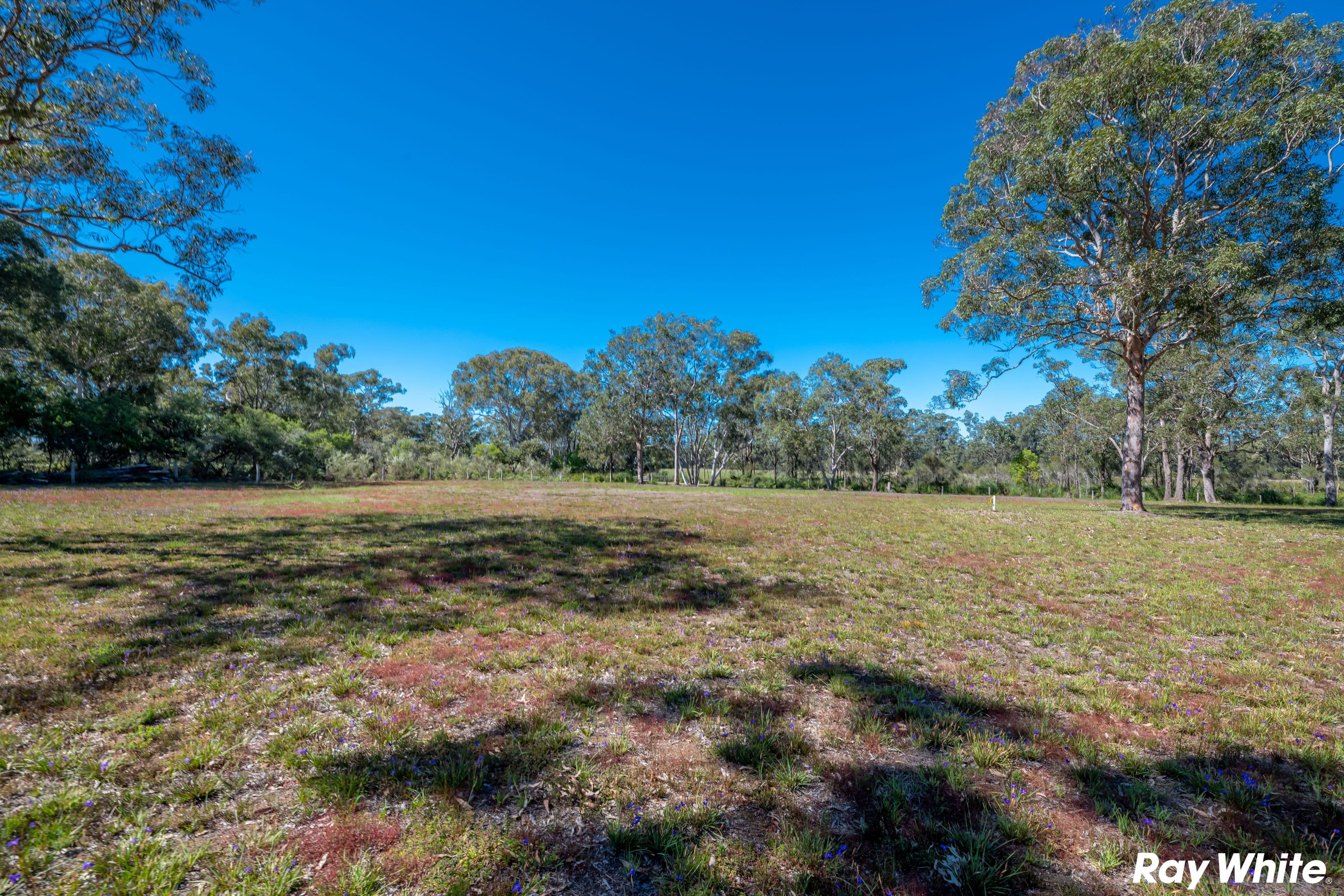 Red Cedar Drive, Failford NSW 2430, Failford - Thumbnail 7