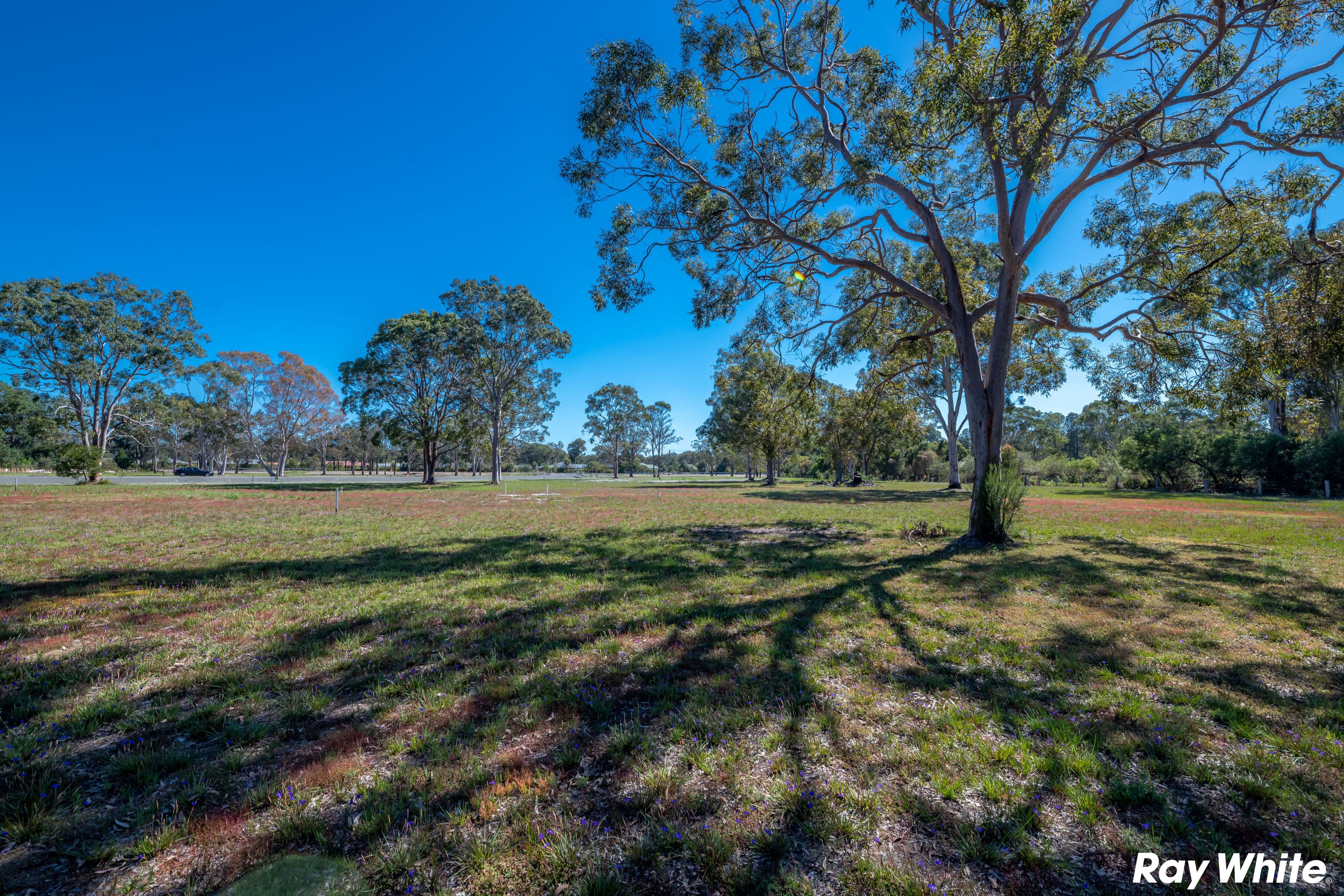 Red Cedar Drive, Failford NSW 2430, Failford - Thumbnail 8