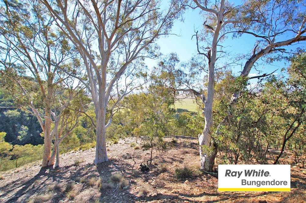53 Bede Road, Bungendore NSW 2621, Bungendore - Thumbnail 8